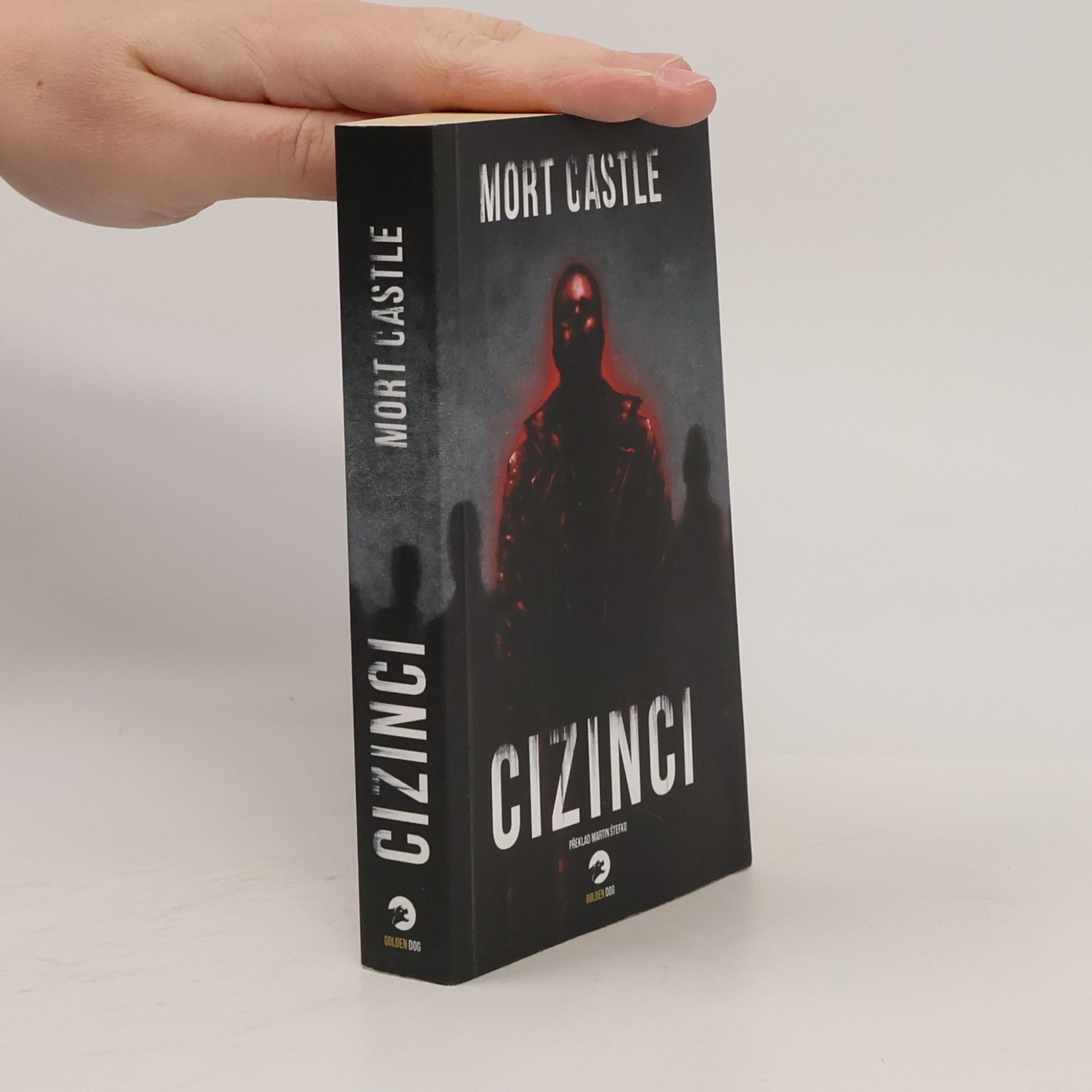 Cizinci