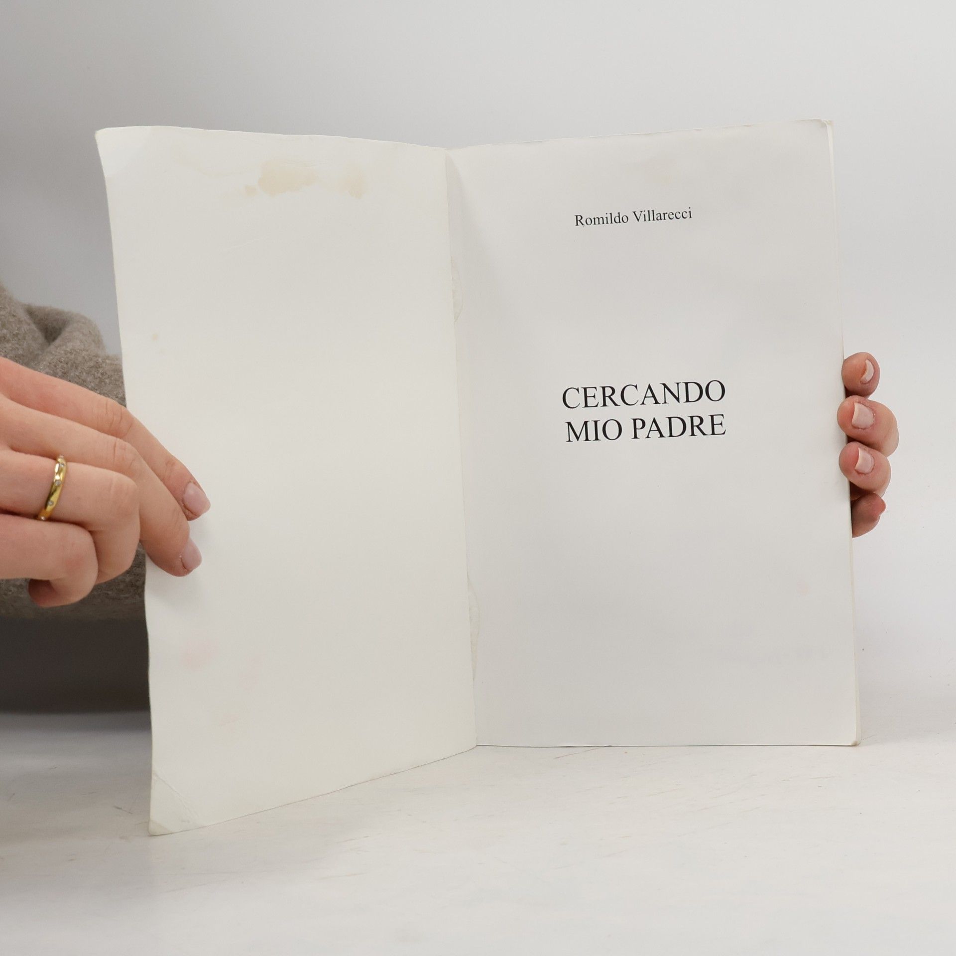 Romildo Villarecci Cercando mio padre