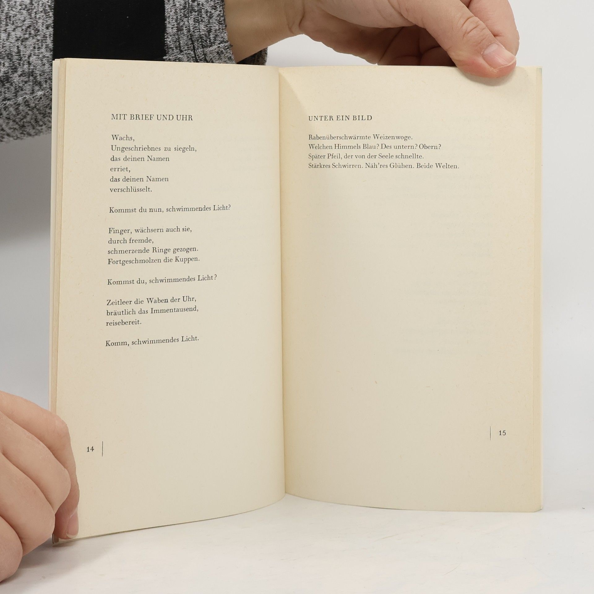 Paul Celan Sprachgitter