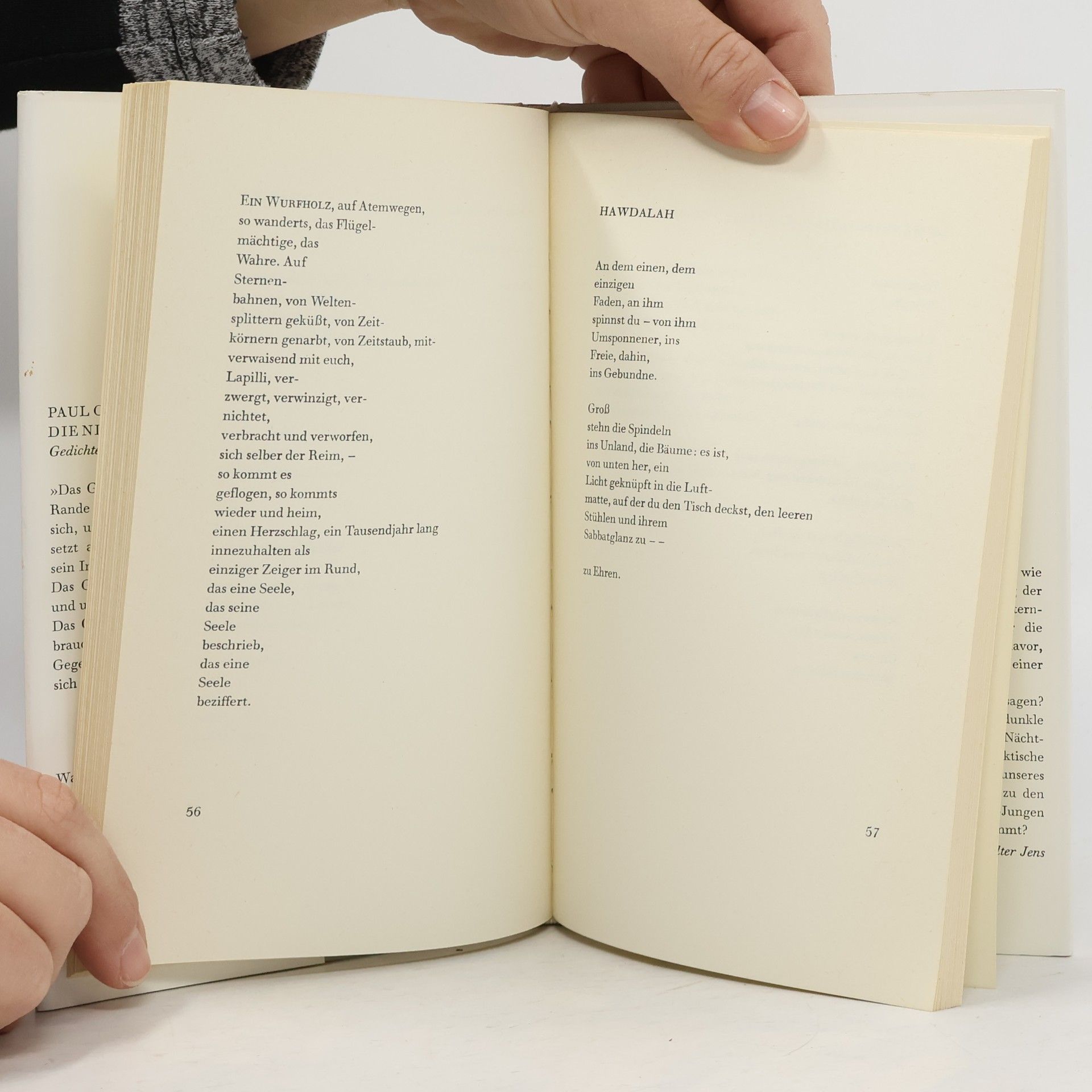 Paul Celan Die Niemandsrose