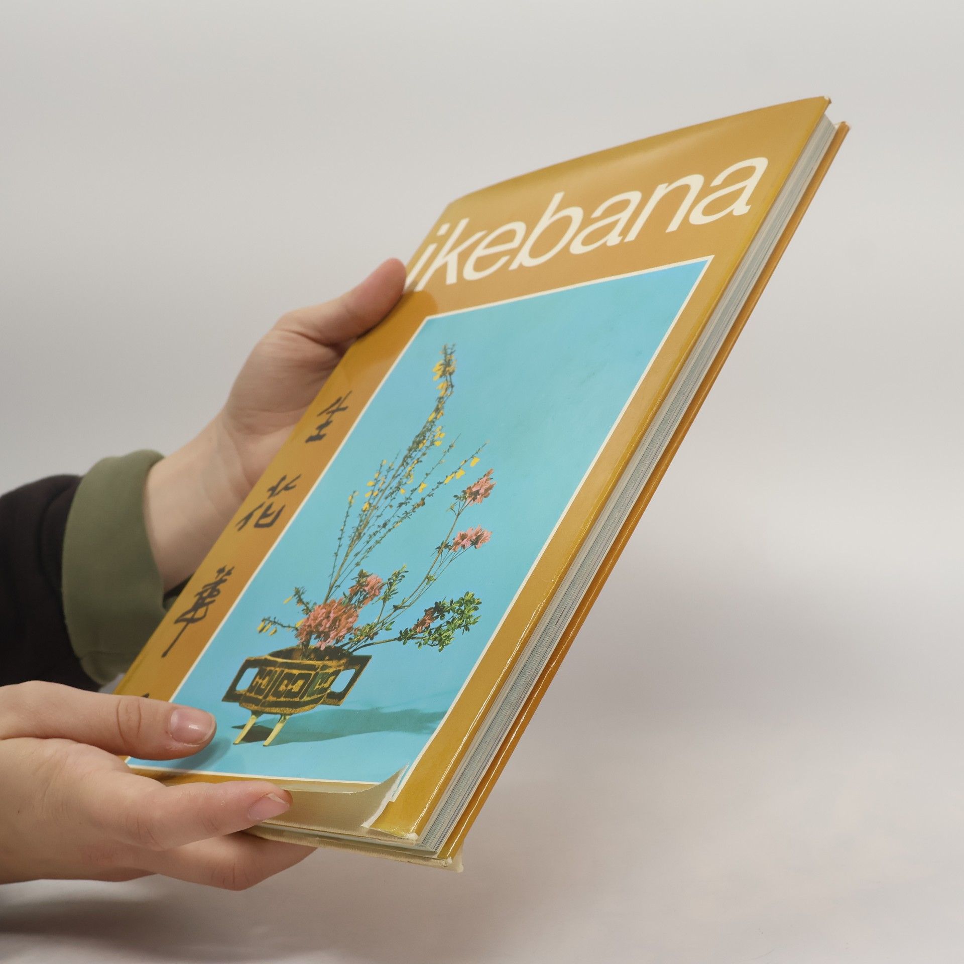 Hubert Berke Ikebana