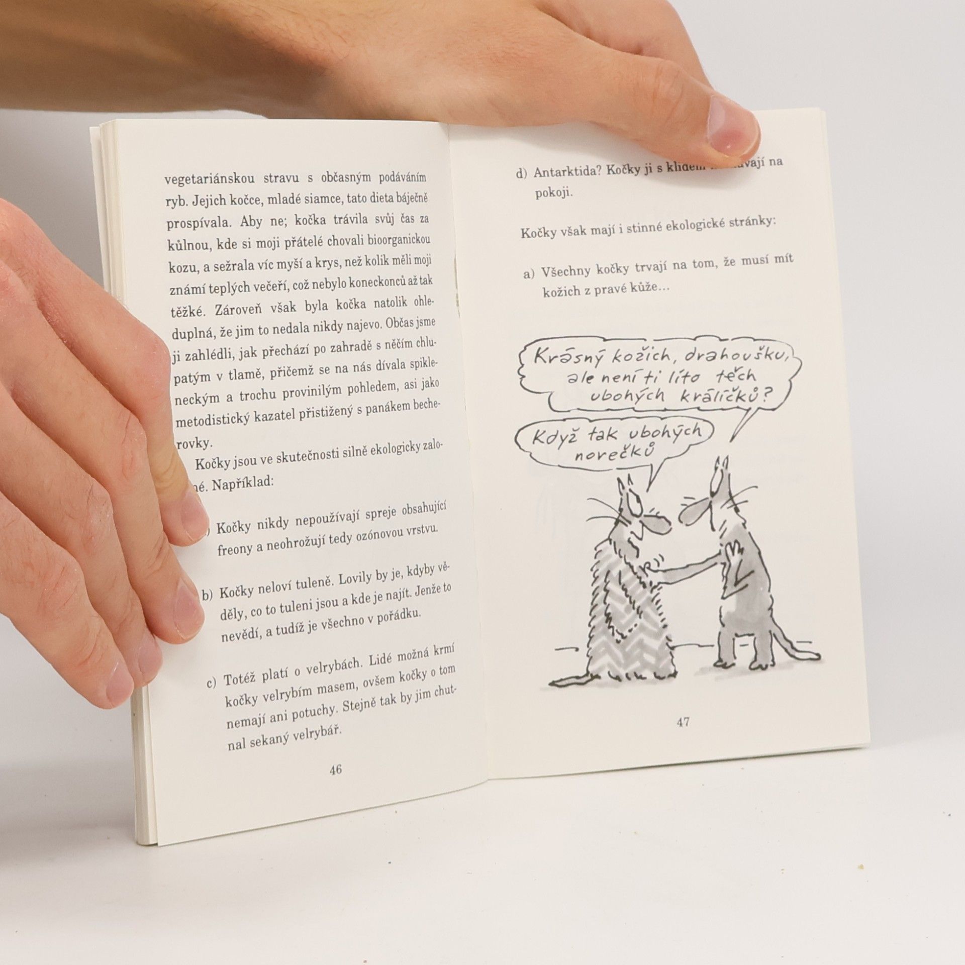 Terry Pratchett Nefalšovaná kočka