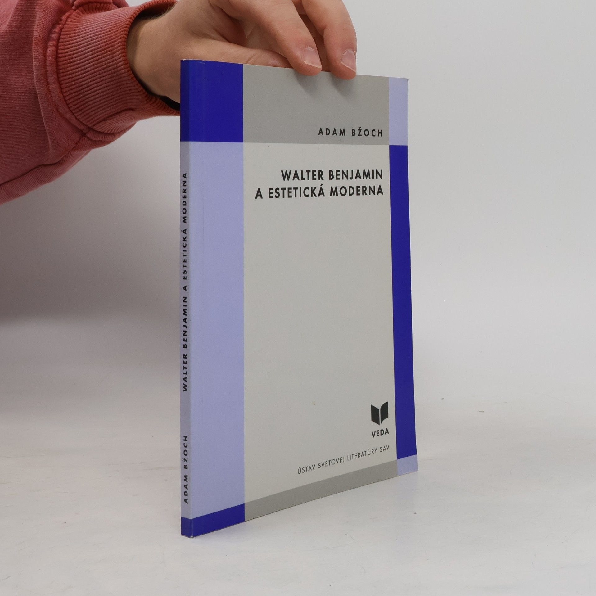 Walter Benjamin a estetická moderna