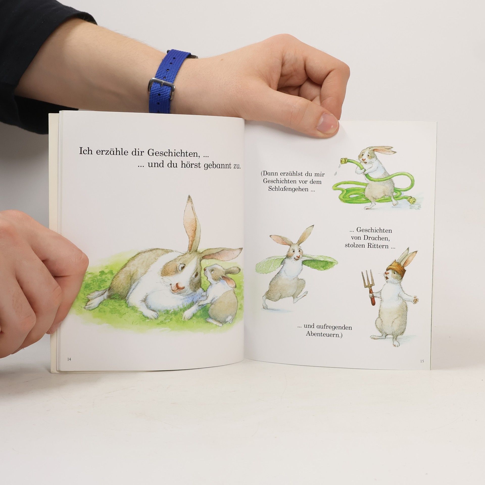 Beth Shoshan Der kleine Hase, der nicht einschlafen konnte