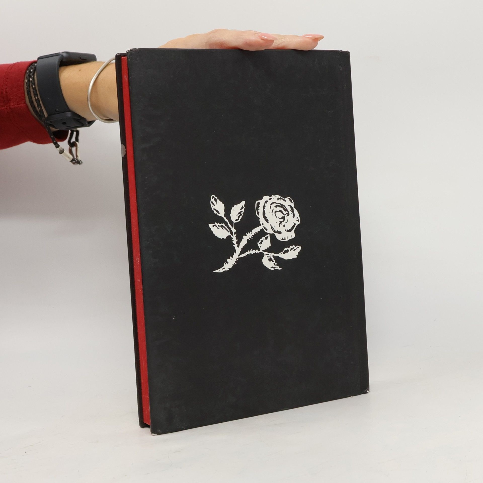 L. J. Smithová Il diario del vampiro