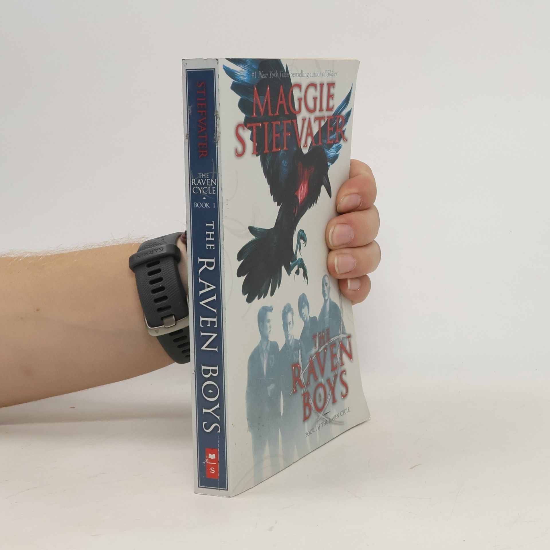 The Raven Boys