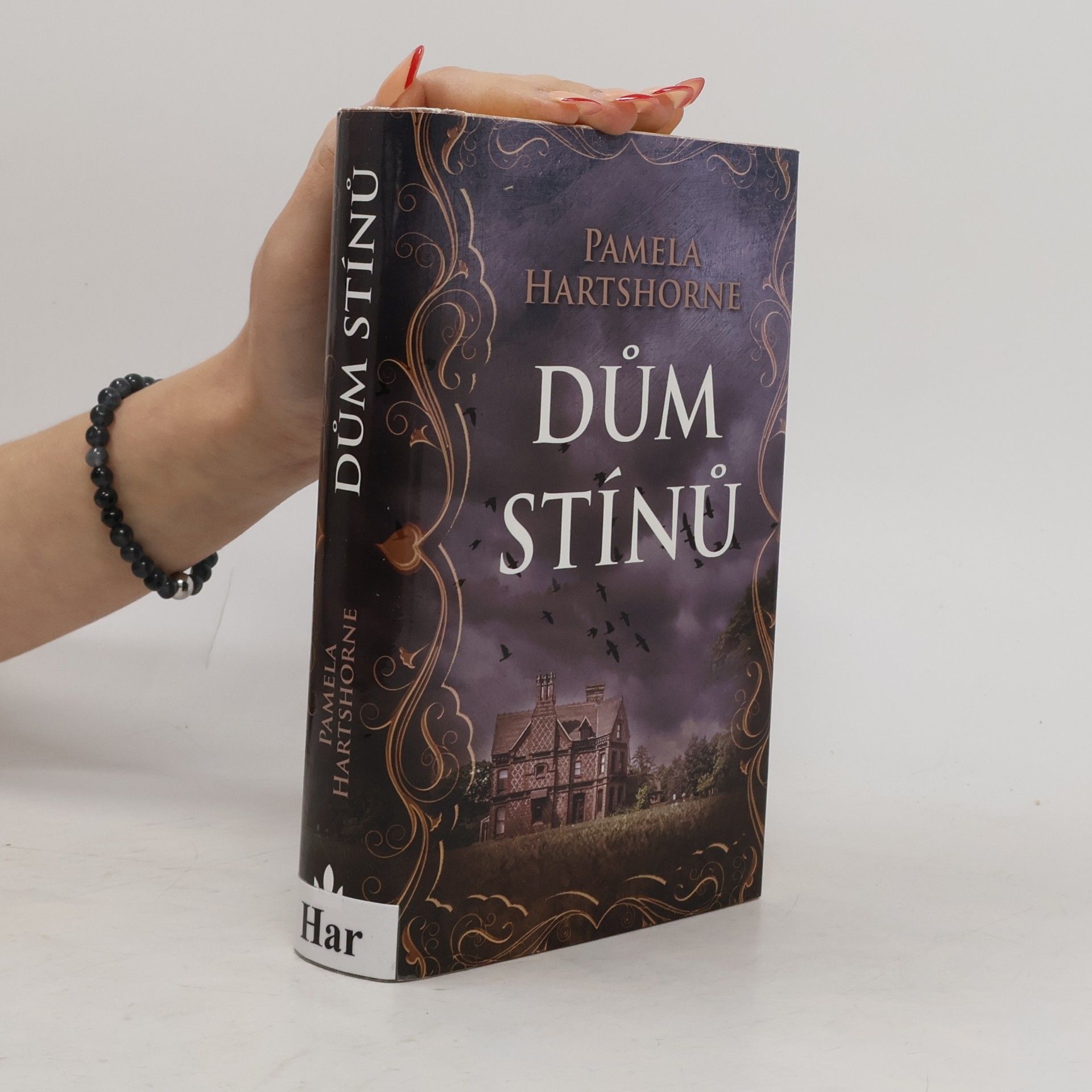 Dům stínů