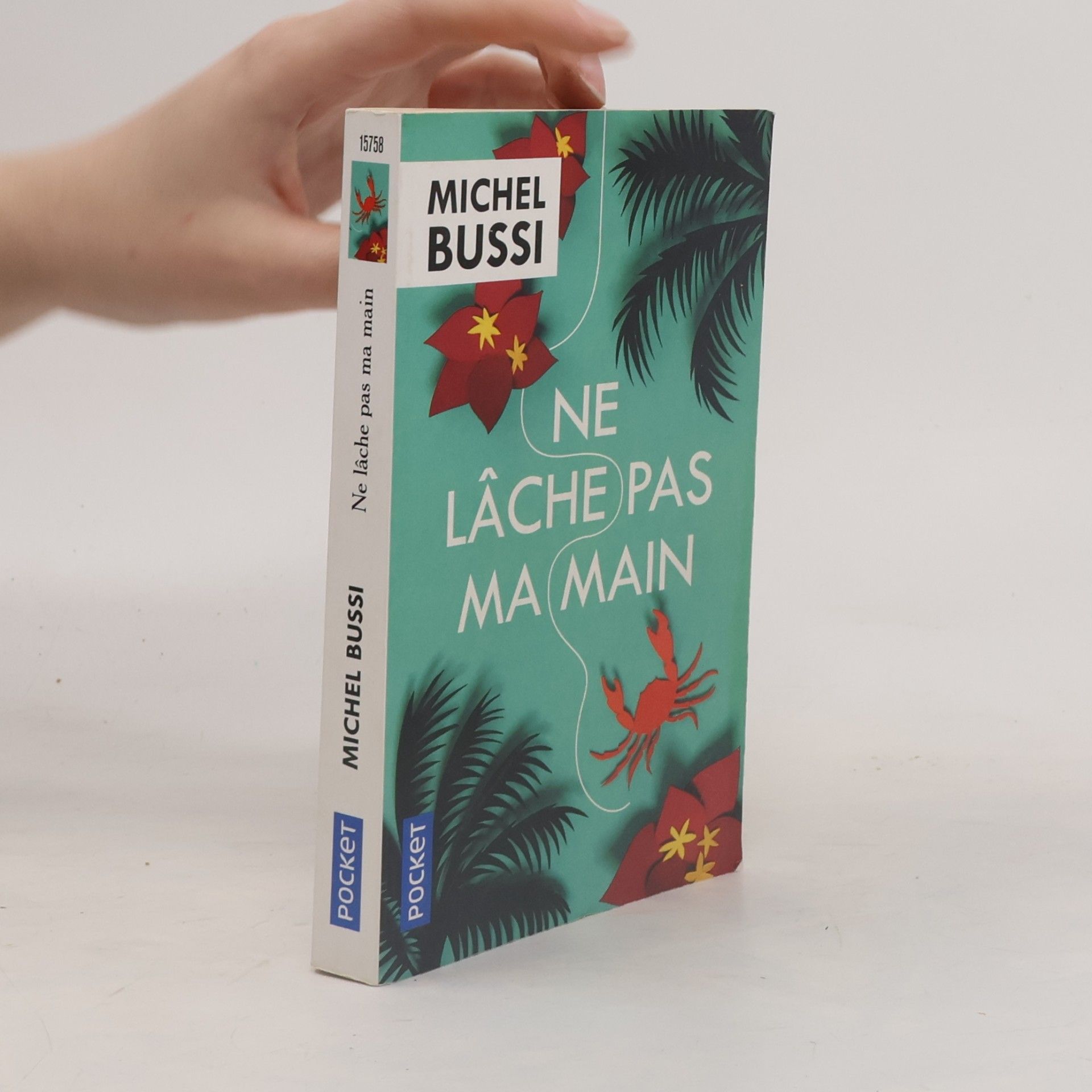 Michel Bussi Ne lâche pas ma main