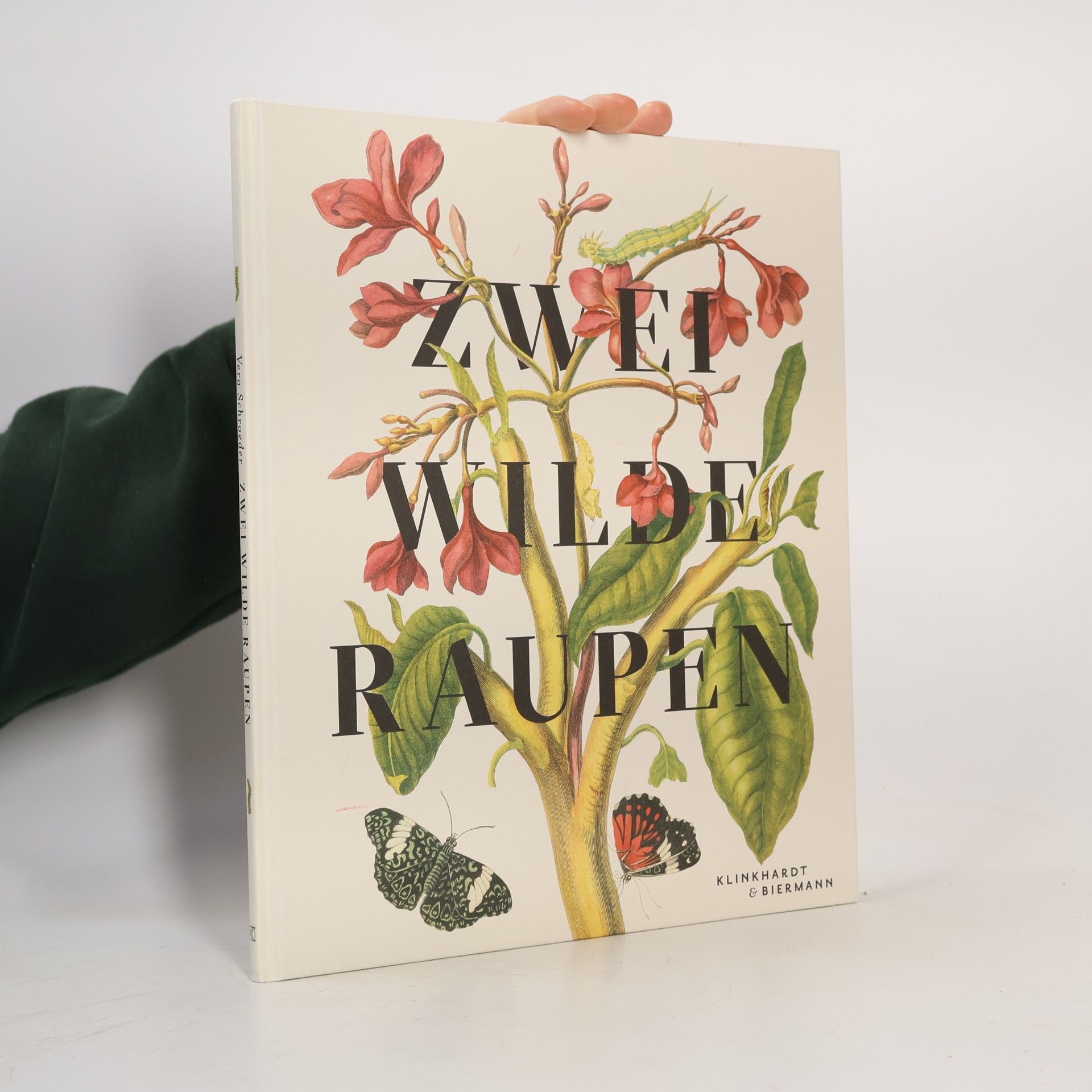 Zwei wilde Raupen