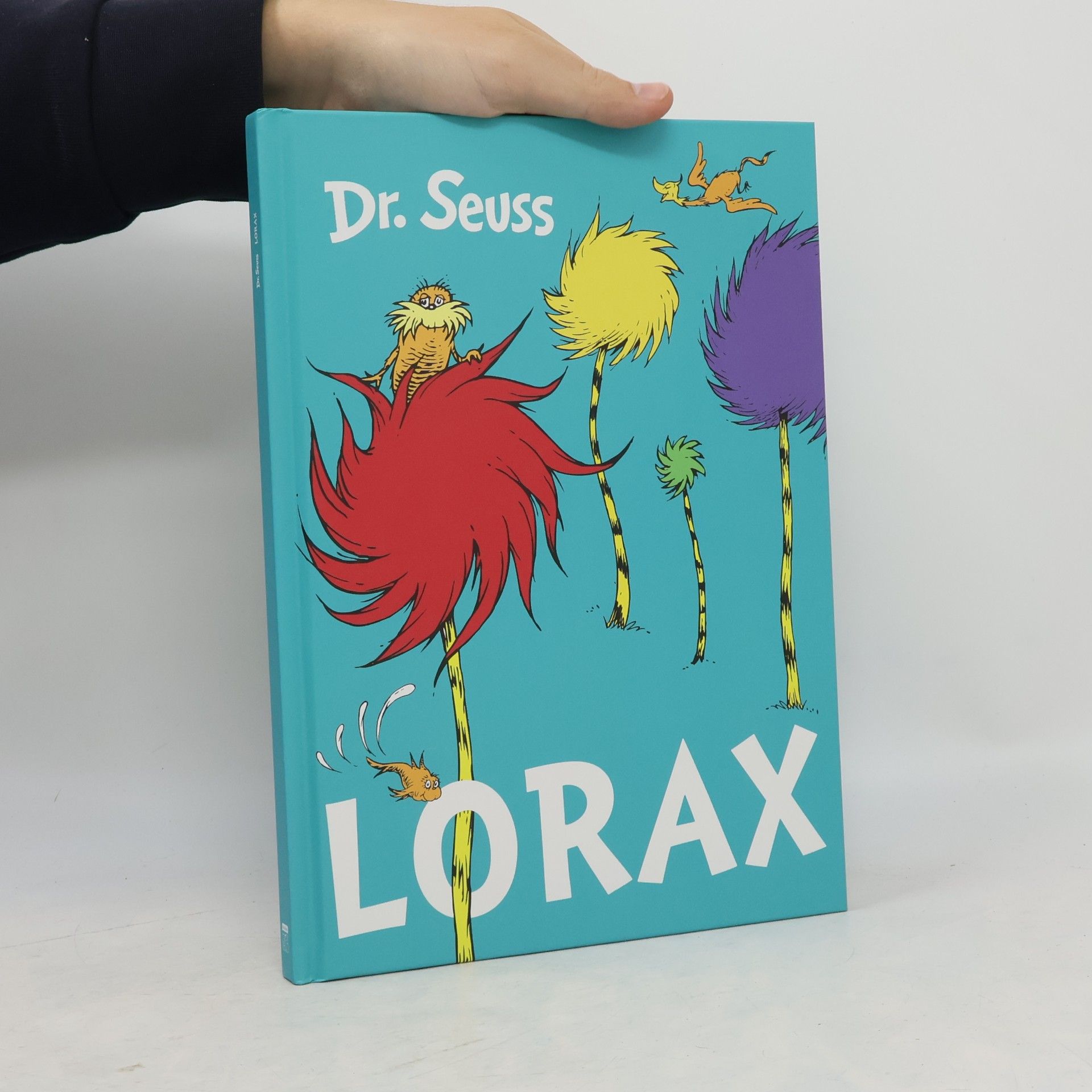 Dr. Seuss Lorax