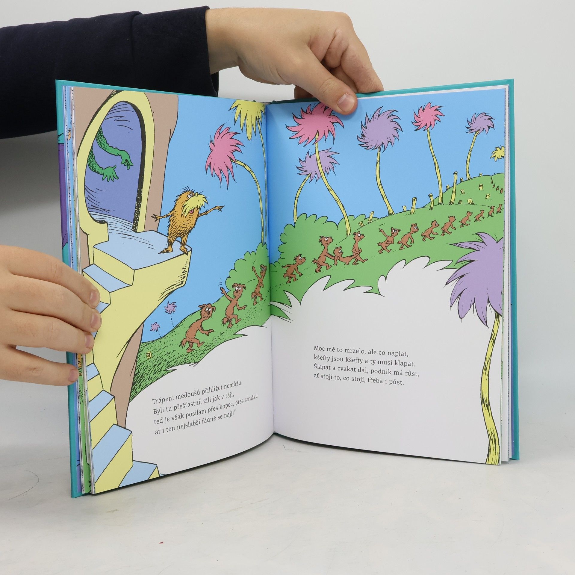 Dr. Seuss Lorax