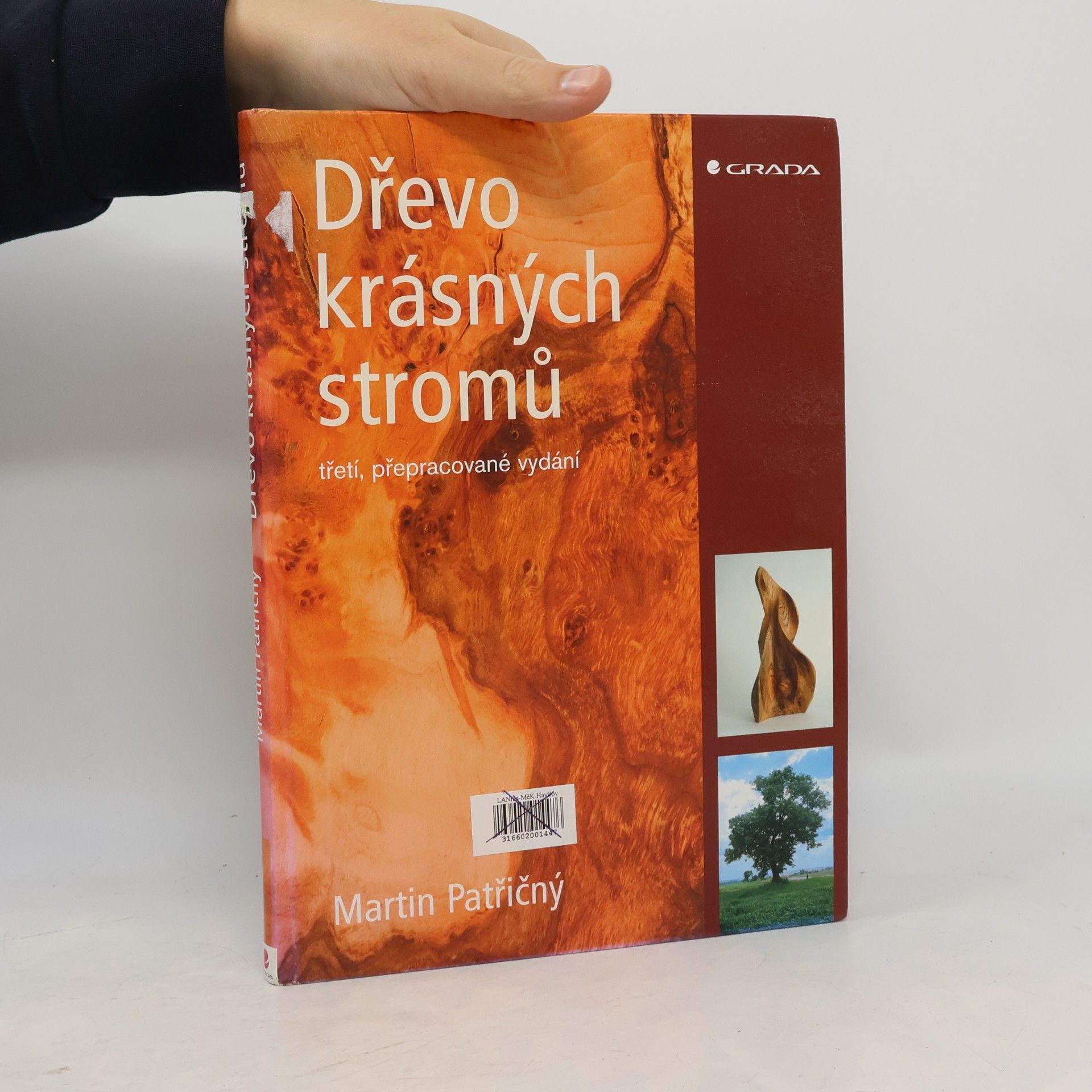 Dřevo krásných stromů