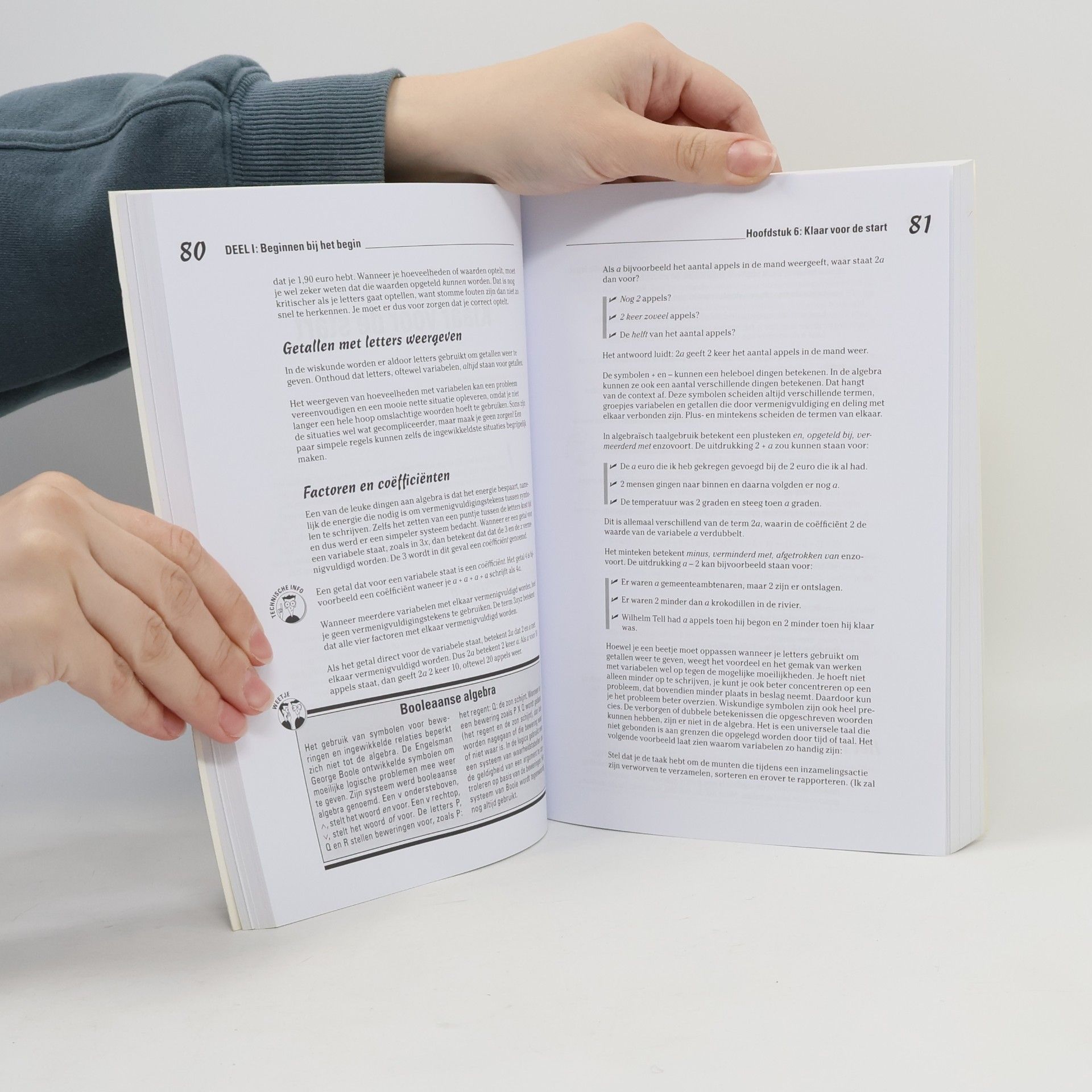 Mary Jane Sterling Wiskunde voor Dummies