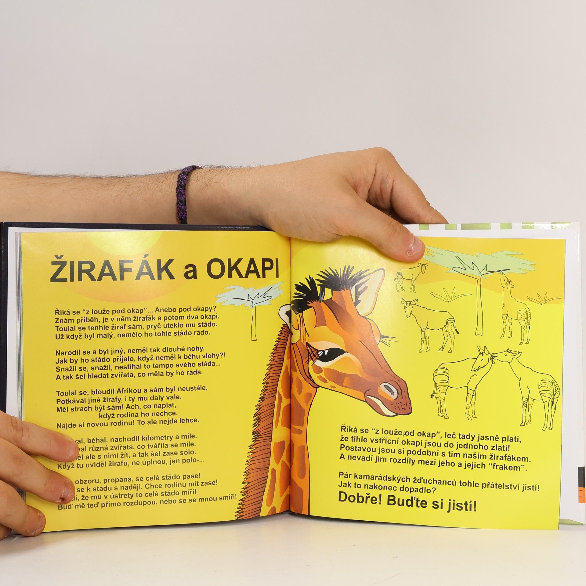 Dana Raunerová Knížka o zvířatech 7