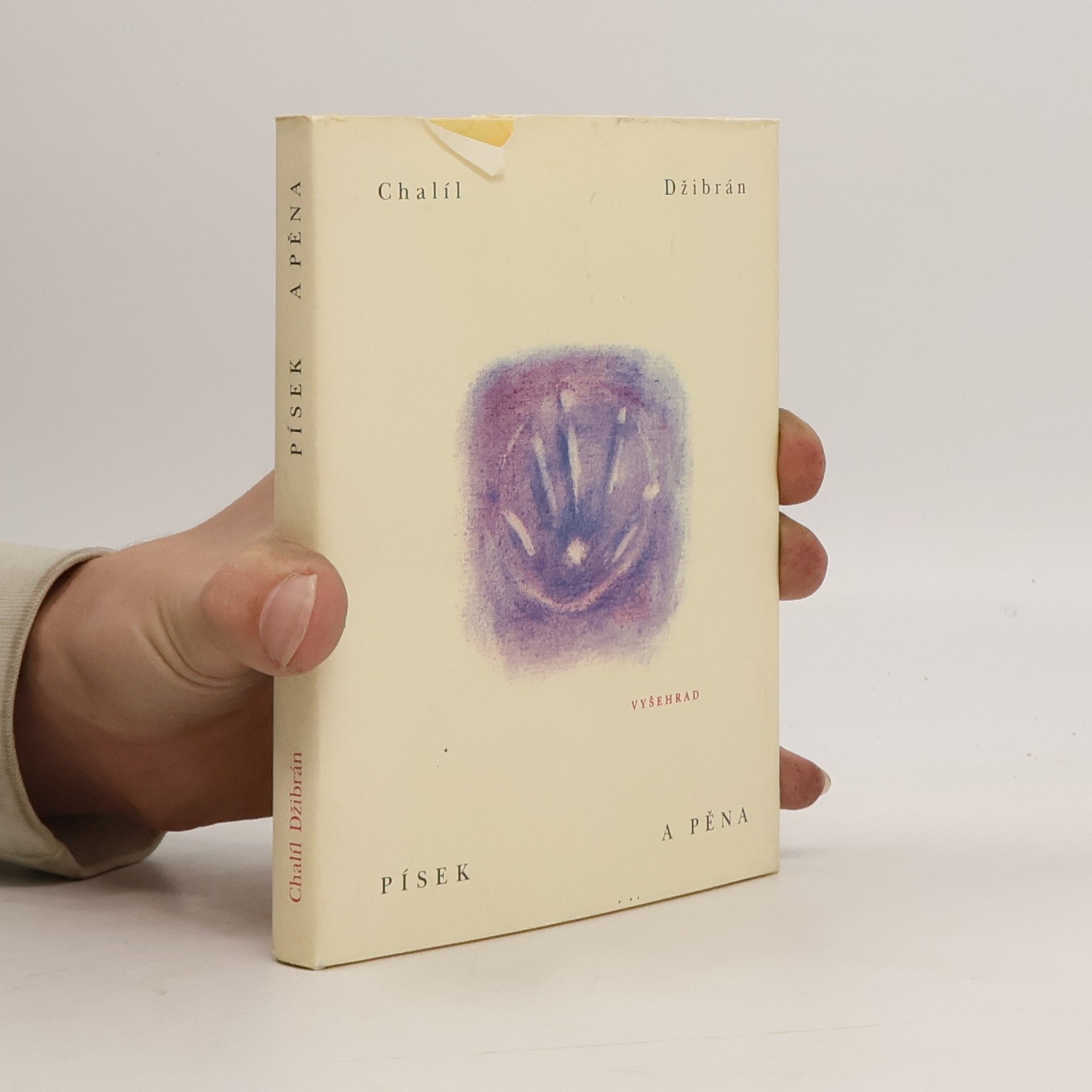 Kahlil Gibran Písek a pěna