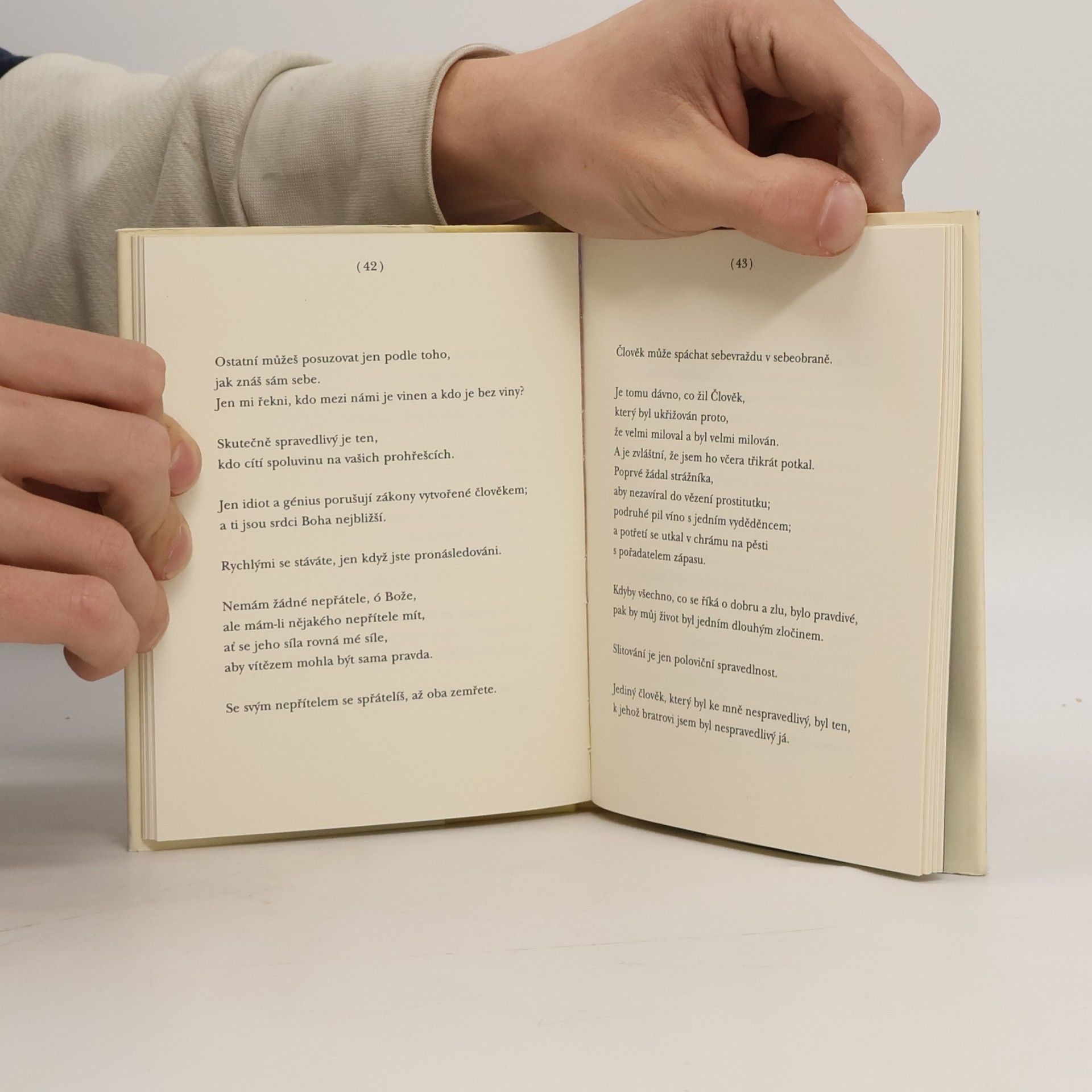 Kahlil Gibran Písek a pěna
