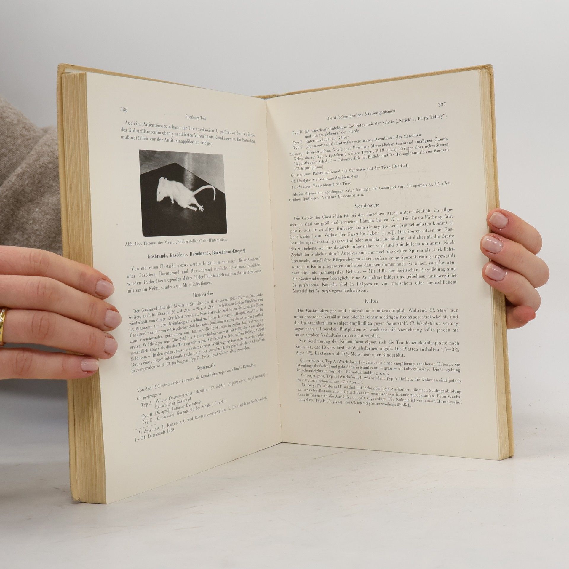 Hanspeter Mochmann Grundriss der medizinischen Mikrobiologie