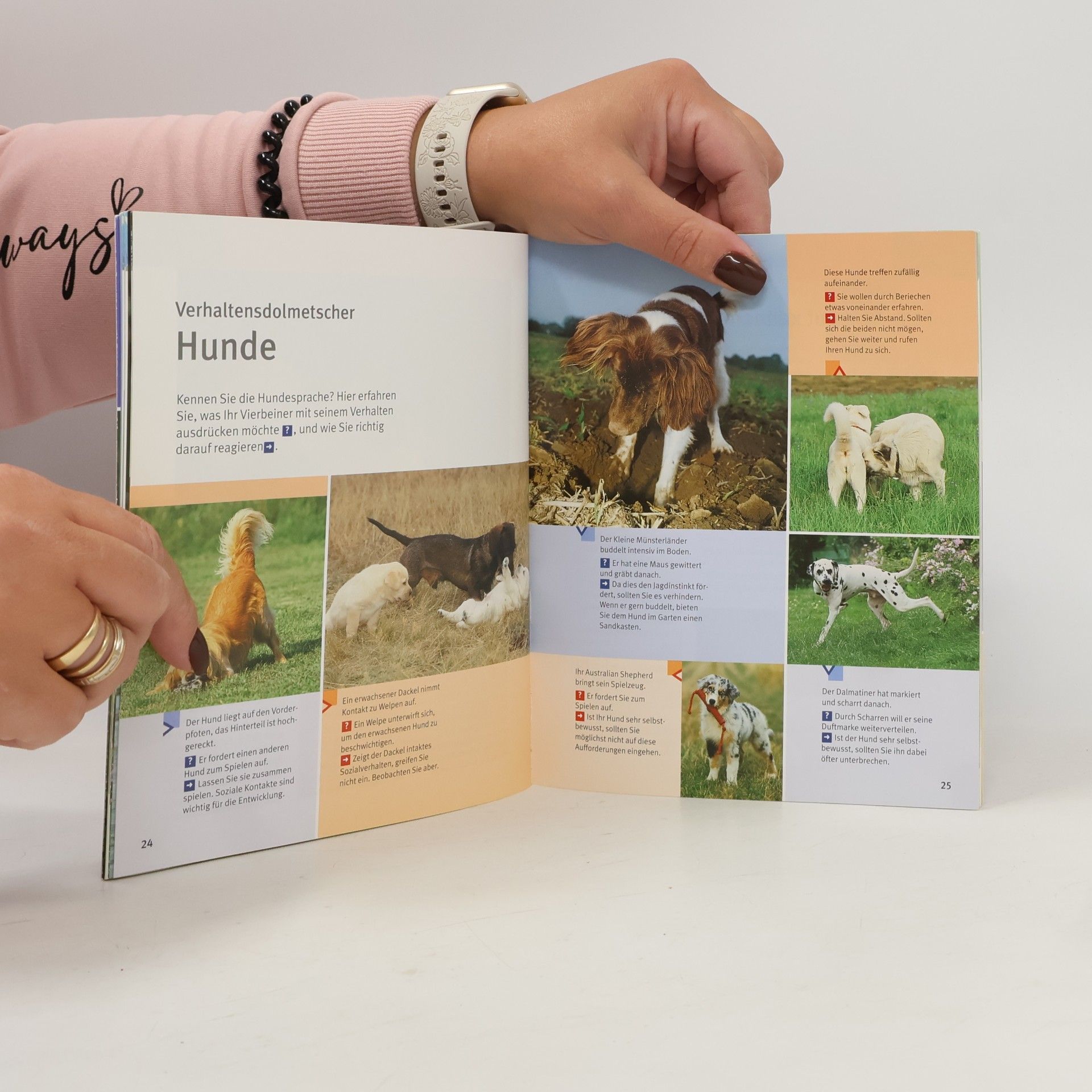 Auteurscollectief Hunde-Erziehung