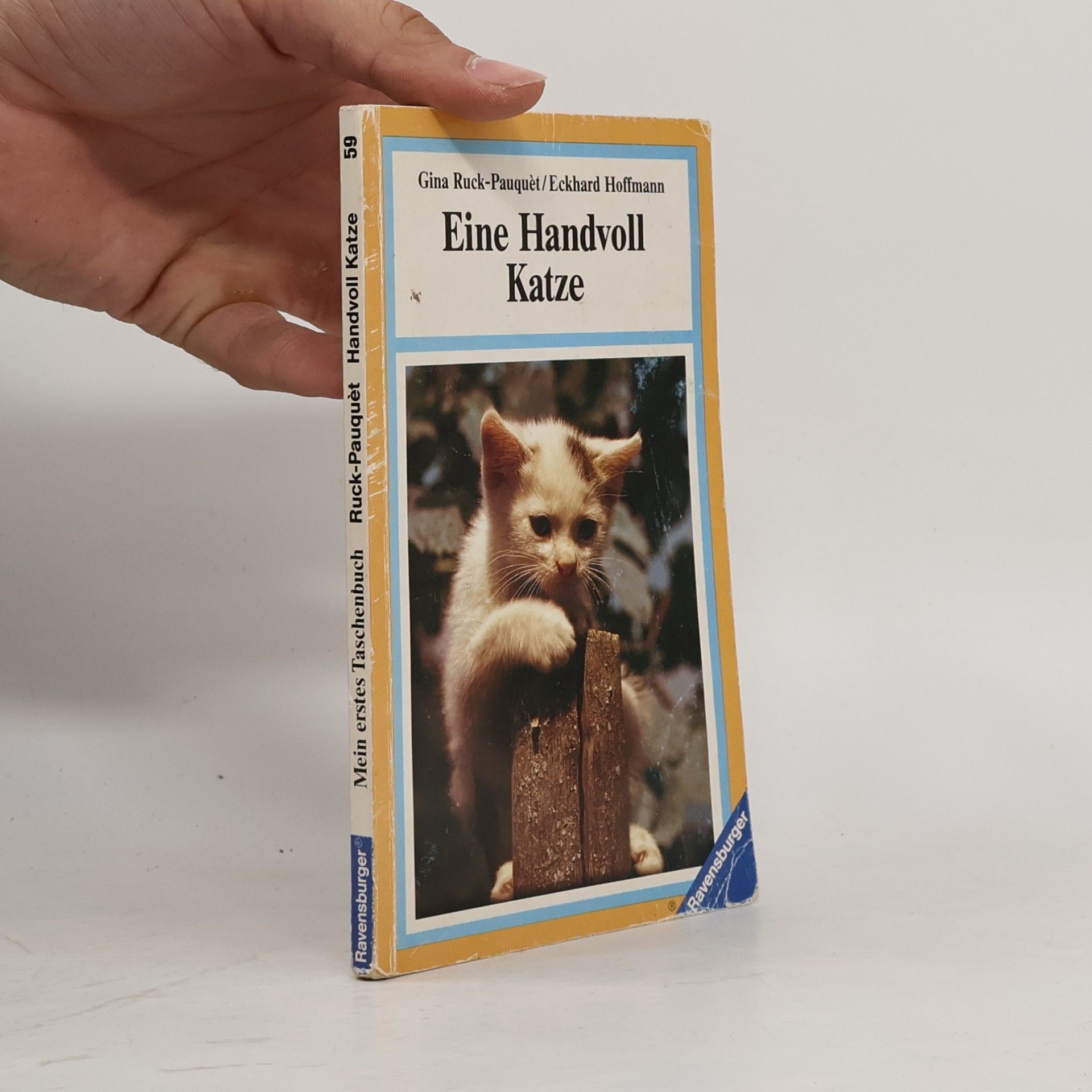 Eine Handvoll Katze. Erste Lebenswochen eines Katzenkindes