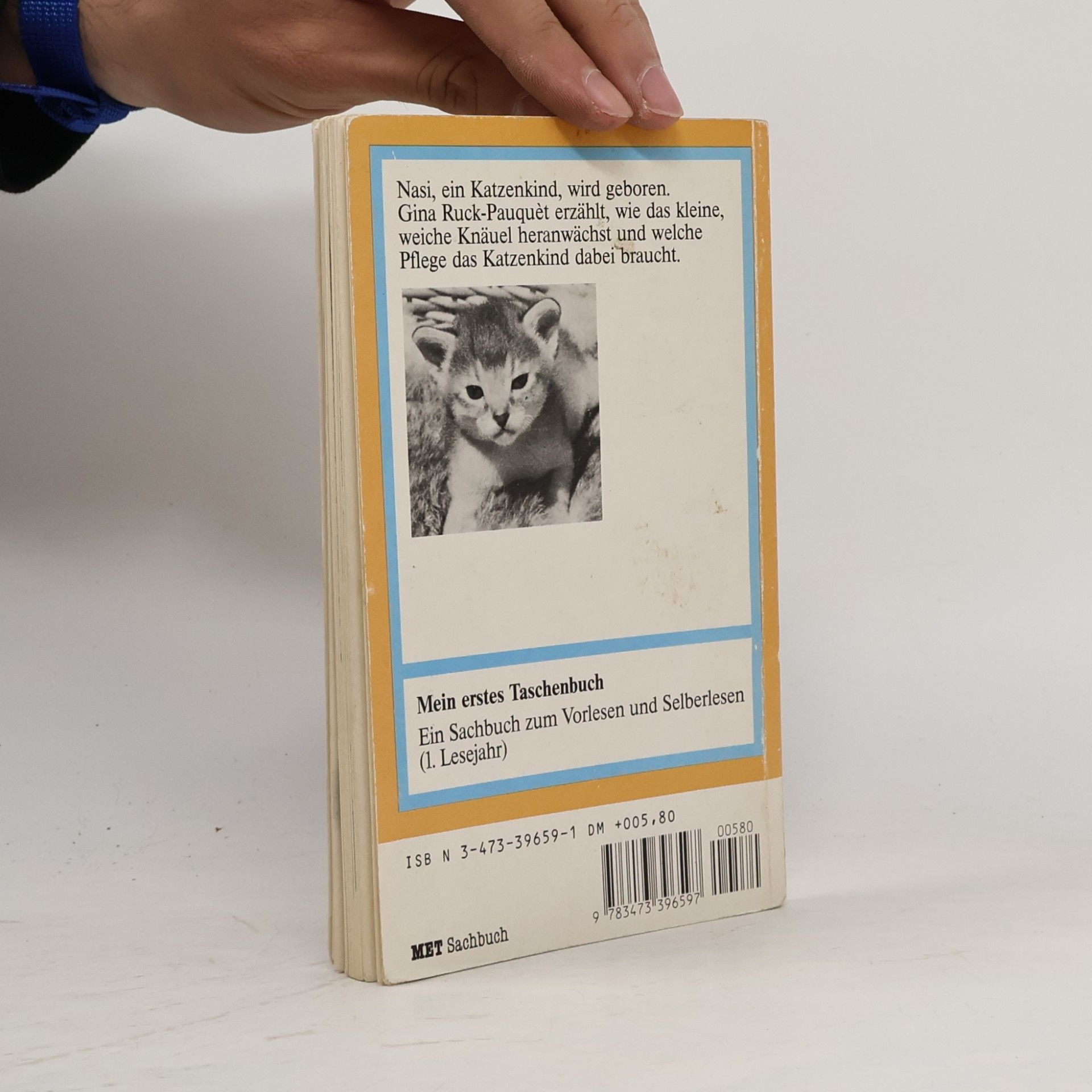 Gina Ruck-Pauquèt Eine Handvoll Katze. Erste Lebenswochen eines Katzenkindes