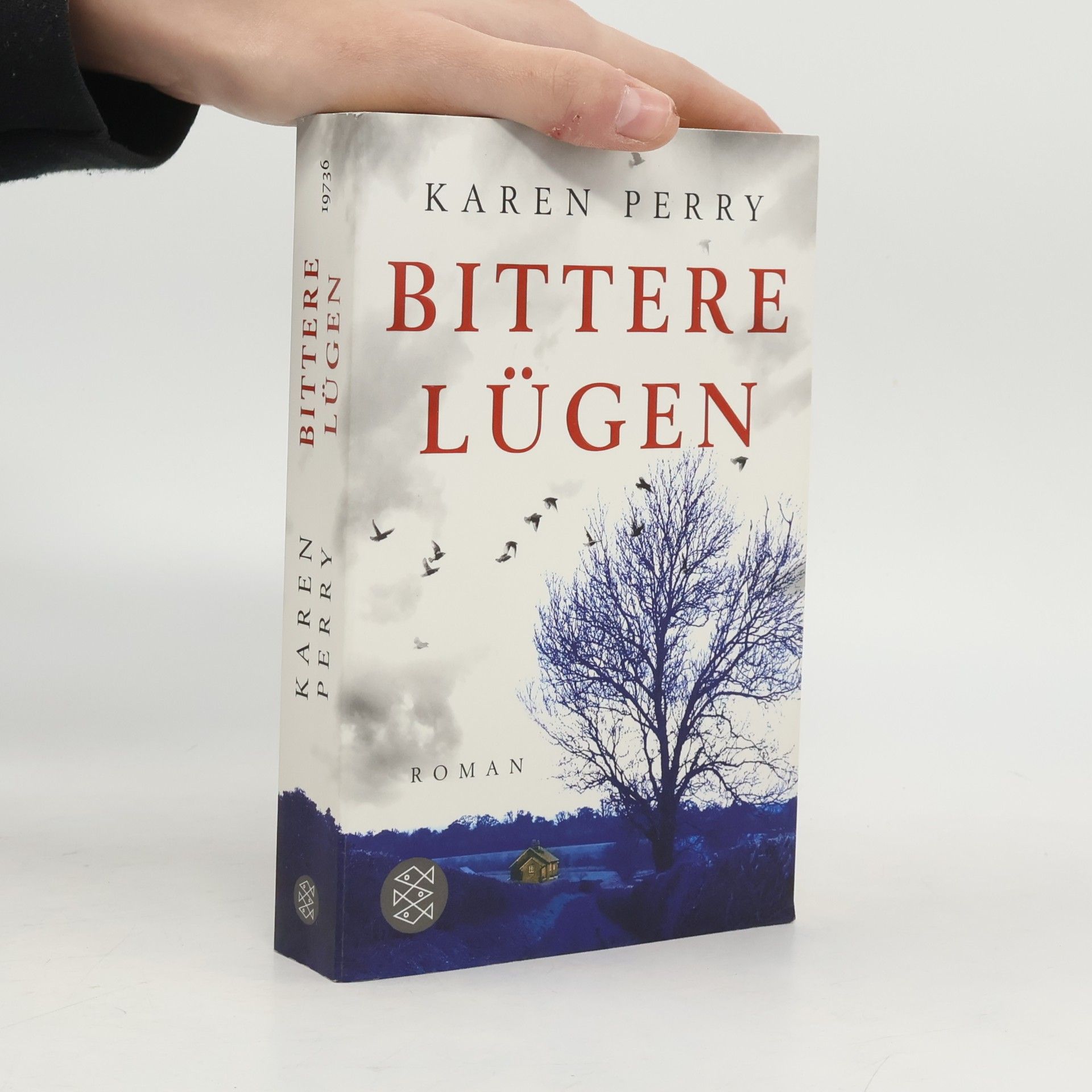 Karen Perry Bittere Lügen