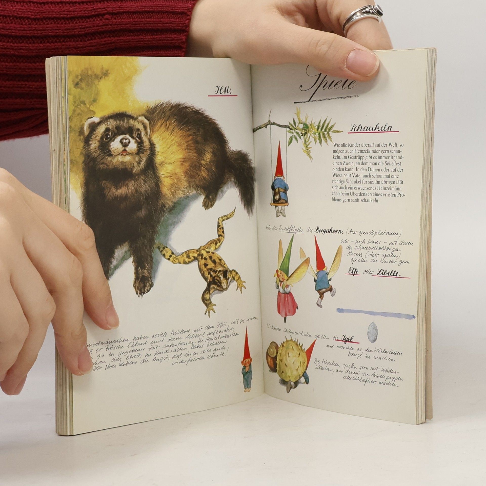 Rien Poortvliet Das grosse Buch der Heinzelmännchen