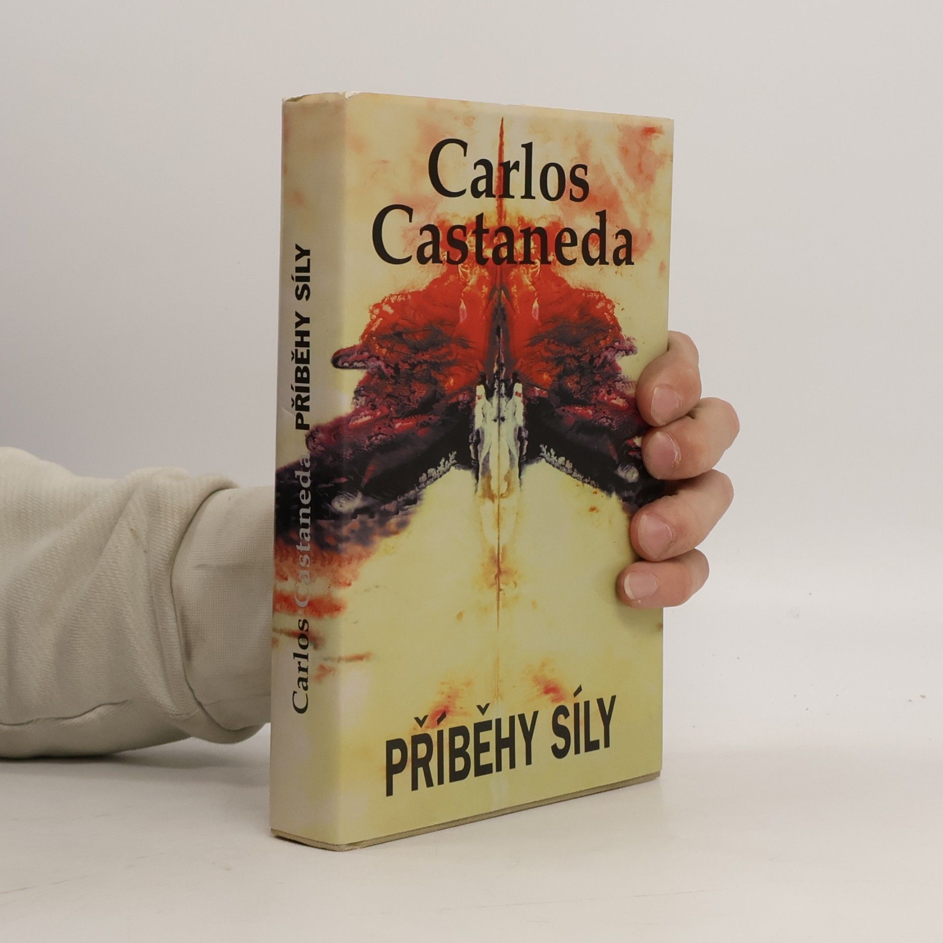 Carlos Castañeda Příběhy síly