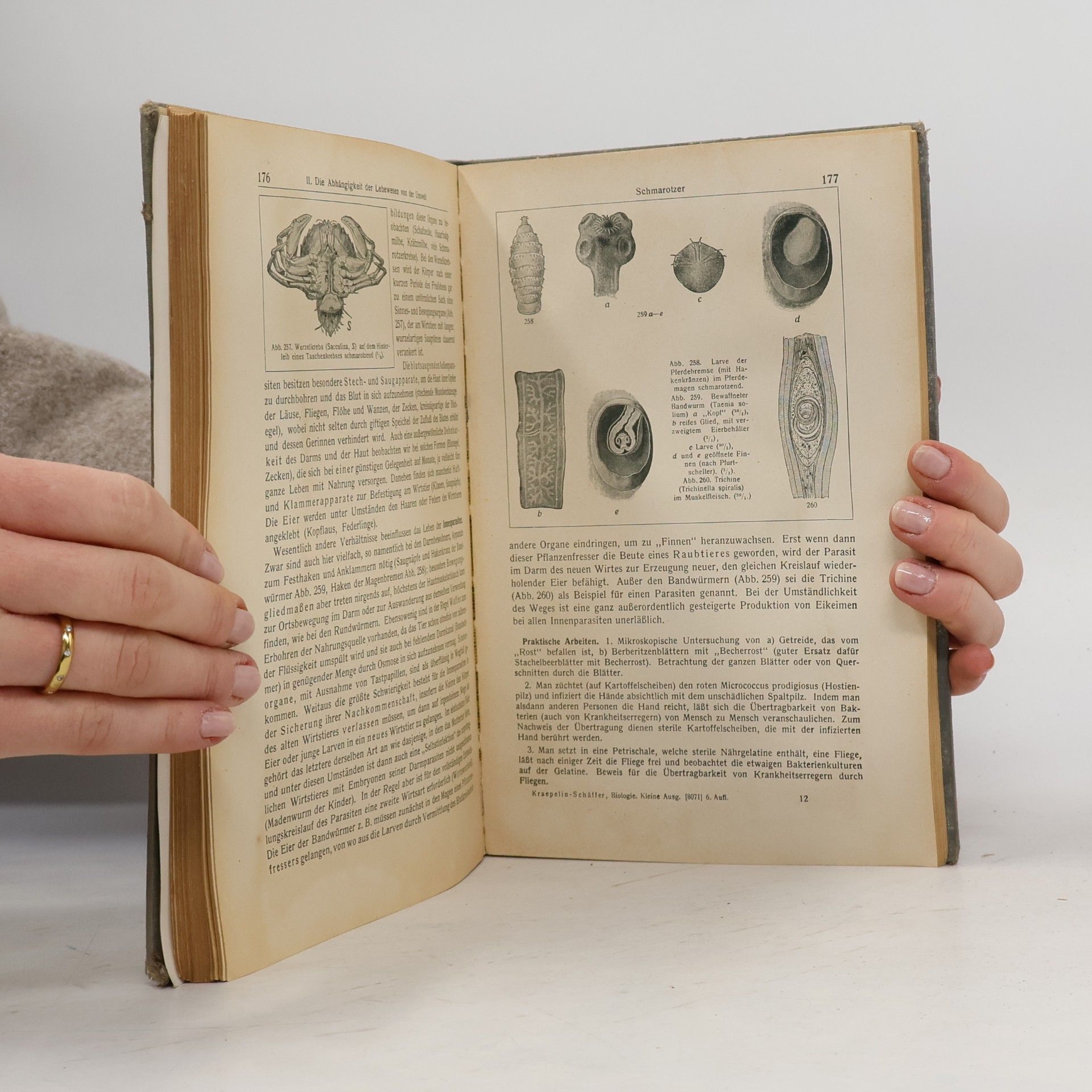 C. Schäffer Leitfaden der Biologie