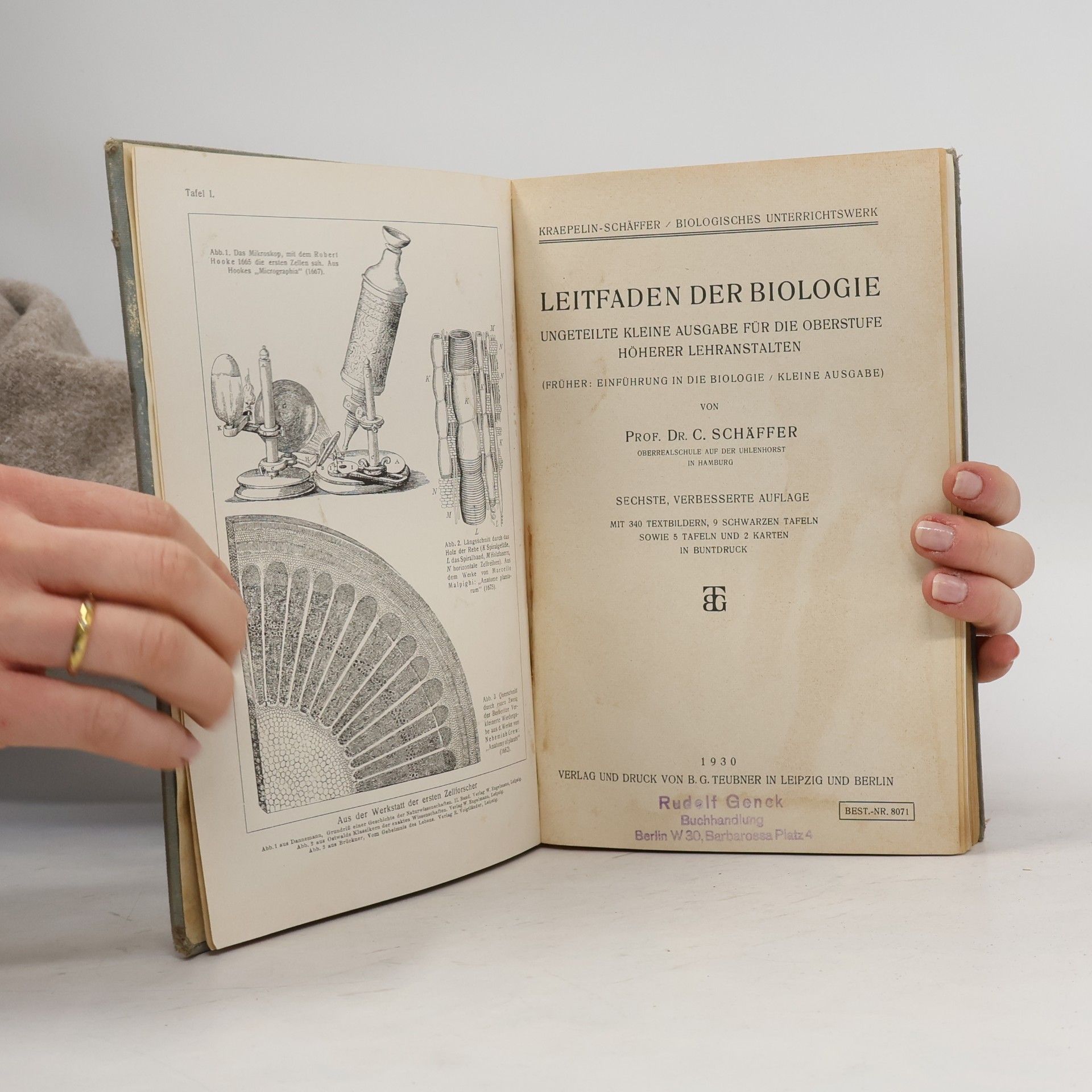 C. Schäffer Leitfaden der Biologie