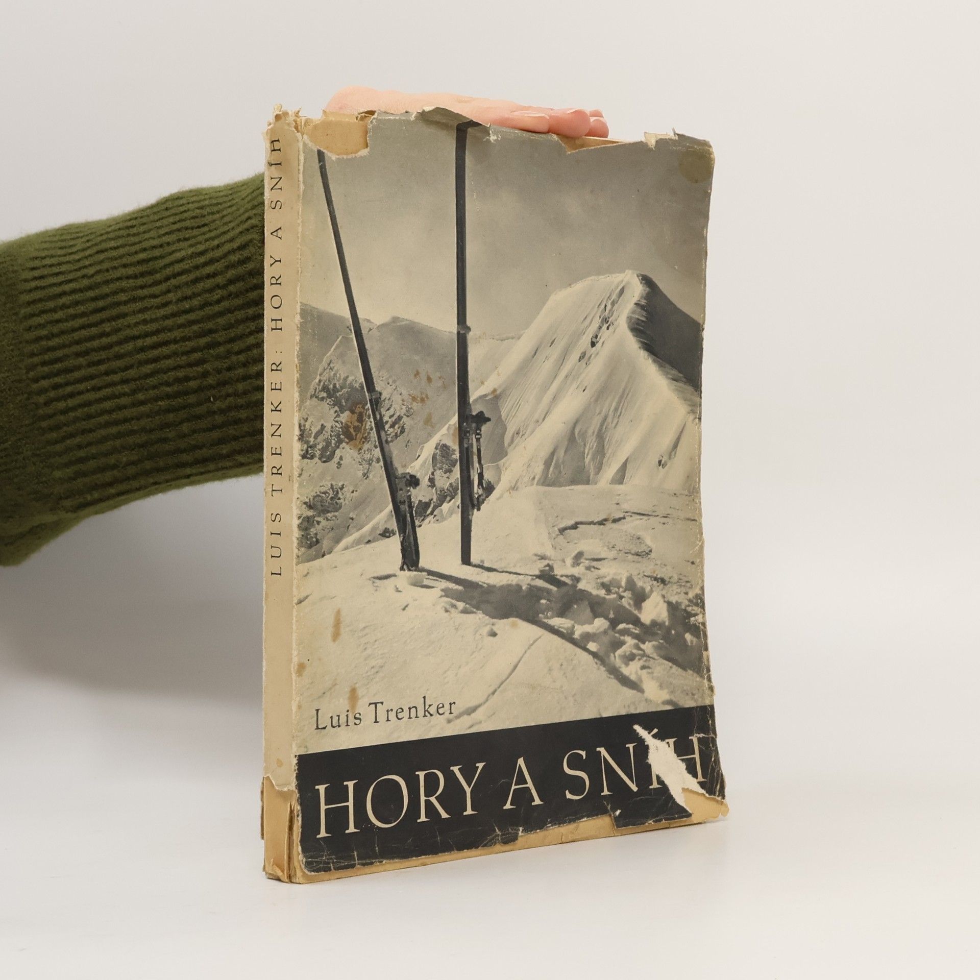 Hory a sníh