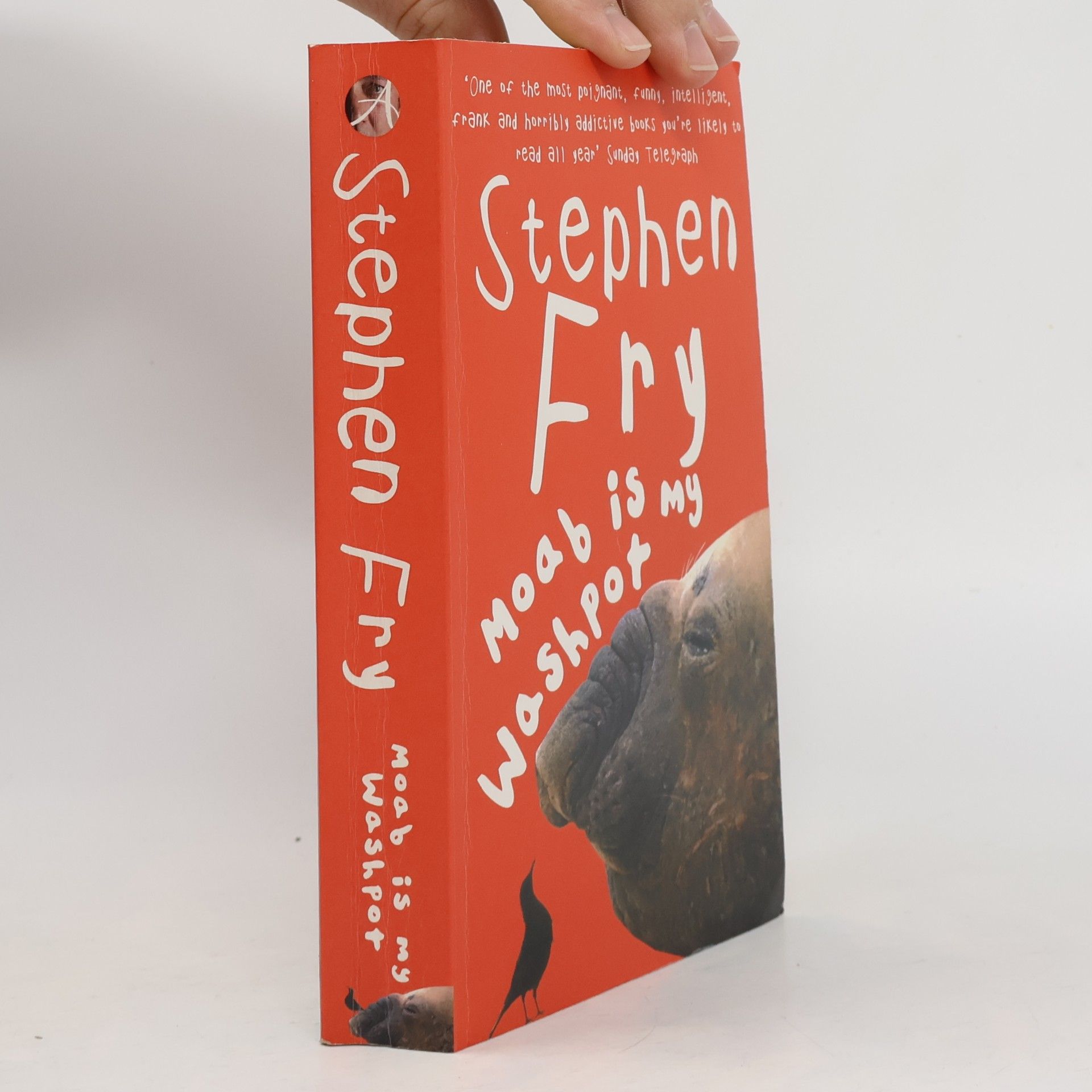 Stephen Fry Moab is My Washpot