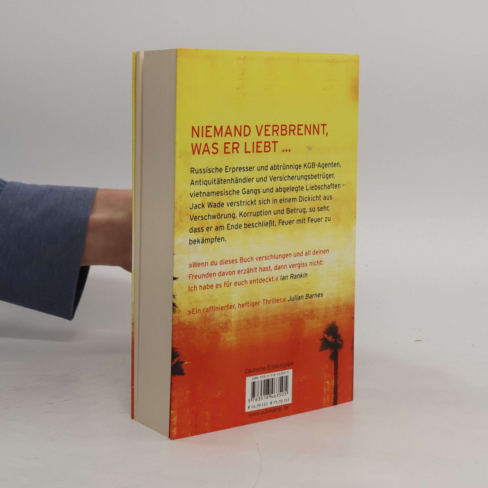 Don Winslow Die Sprache des Feuers