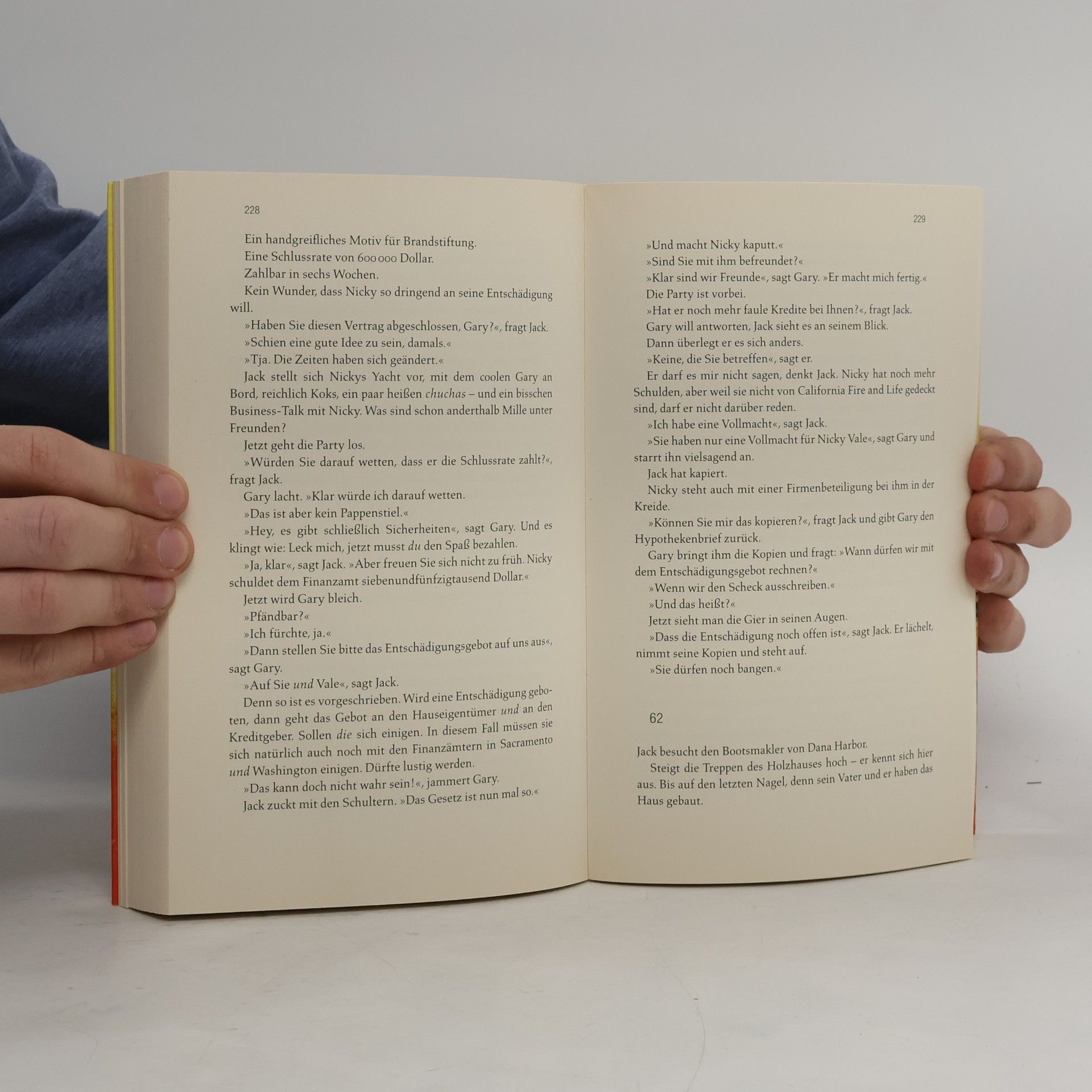 Don Winslow Die Sprache des Feuers