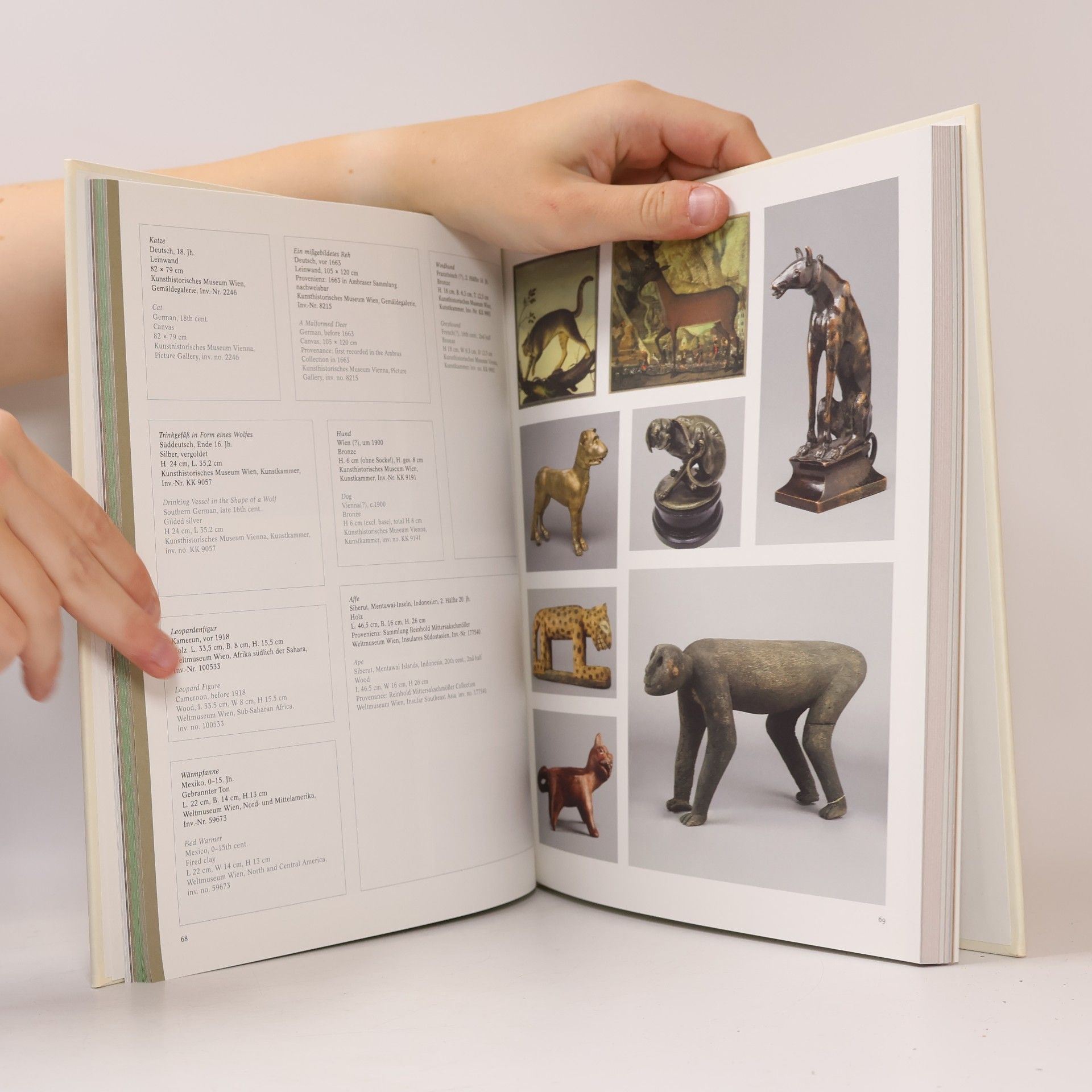 Wes Anderson Spitzmaus mummy in a coffin and other treasures