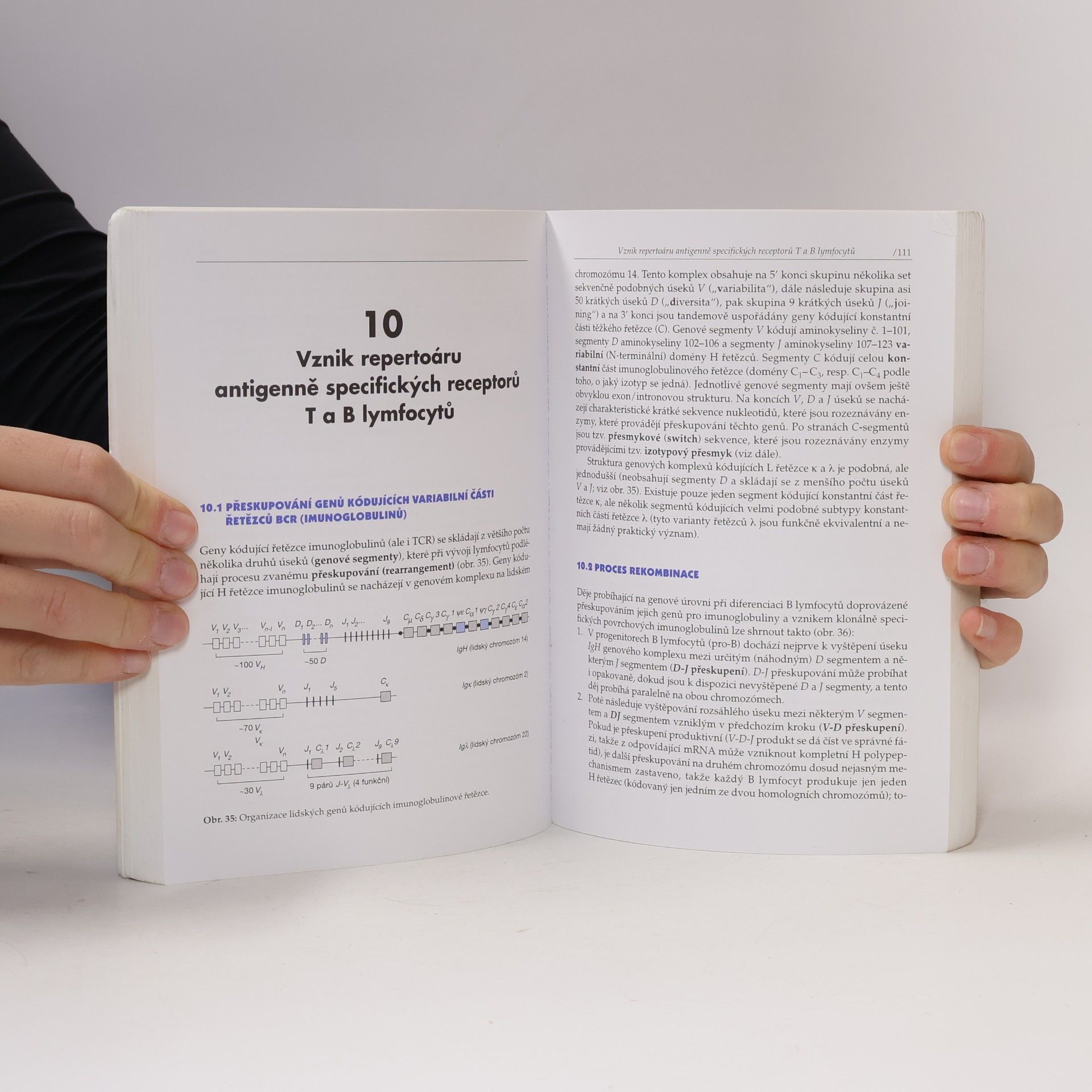 Jiřina Bartůňková Základy imunologie