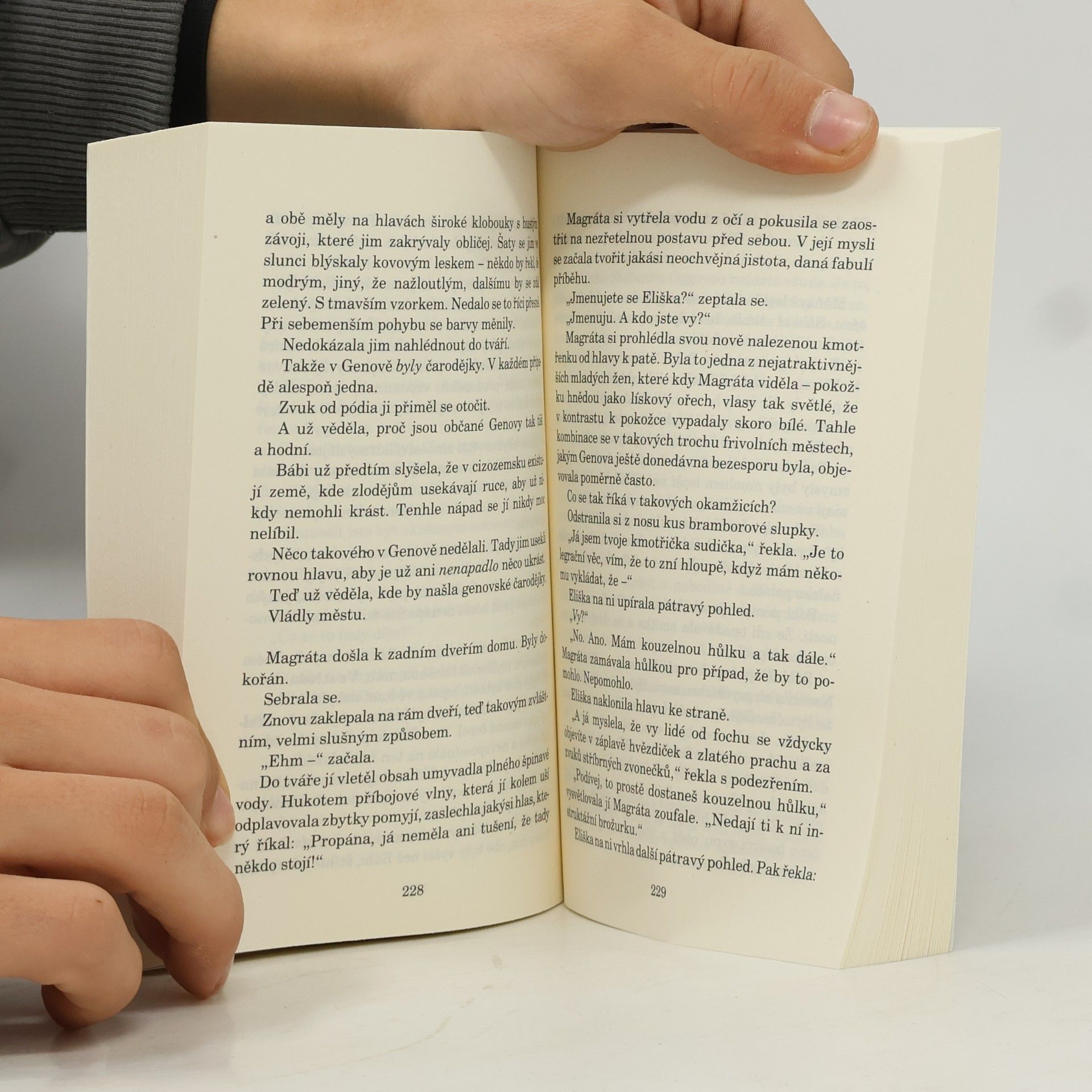 Terry Pratchett Čarodějky na cestách