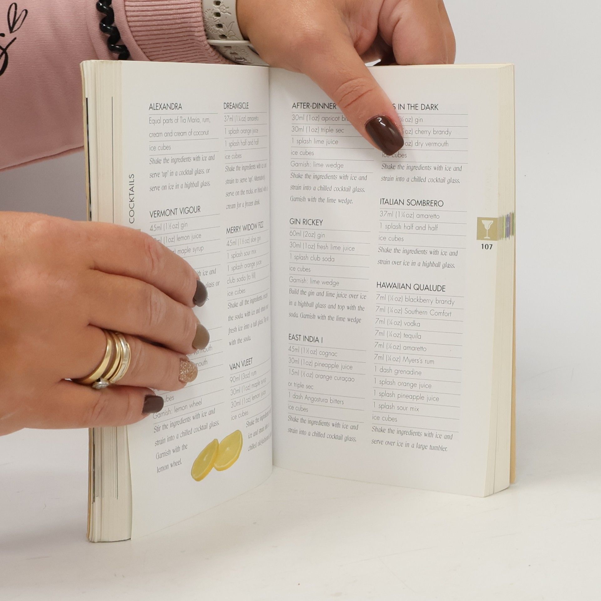 Kathy Hamlin Bartender's Pocket Guide