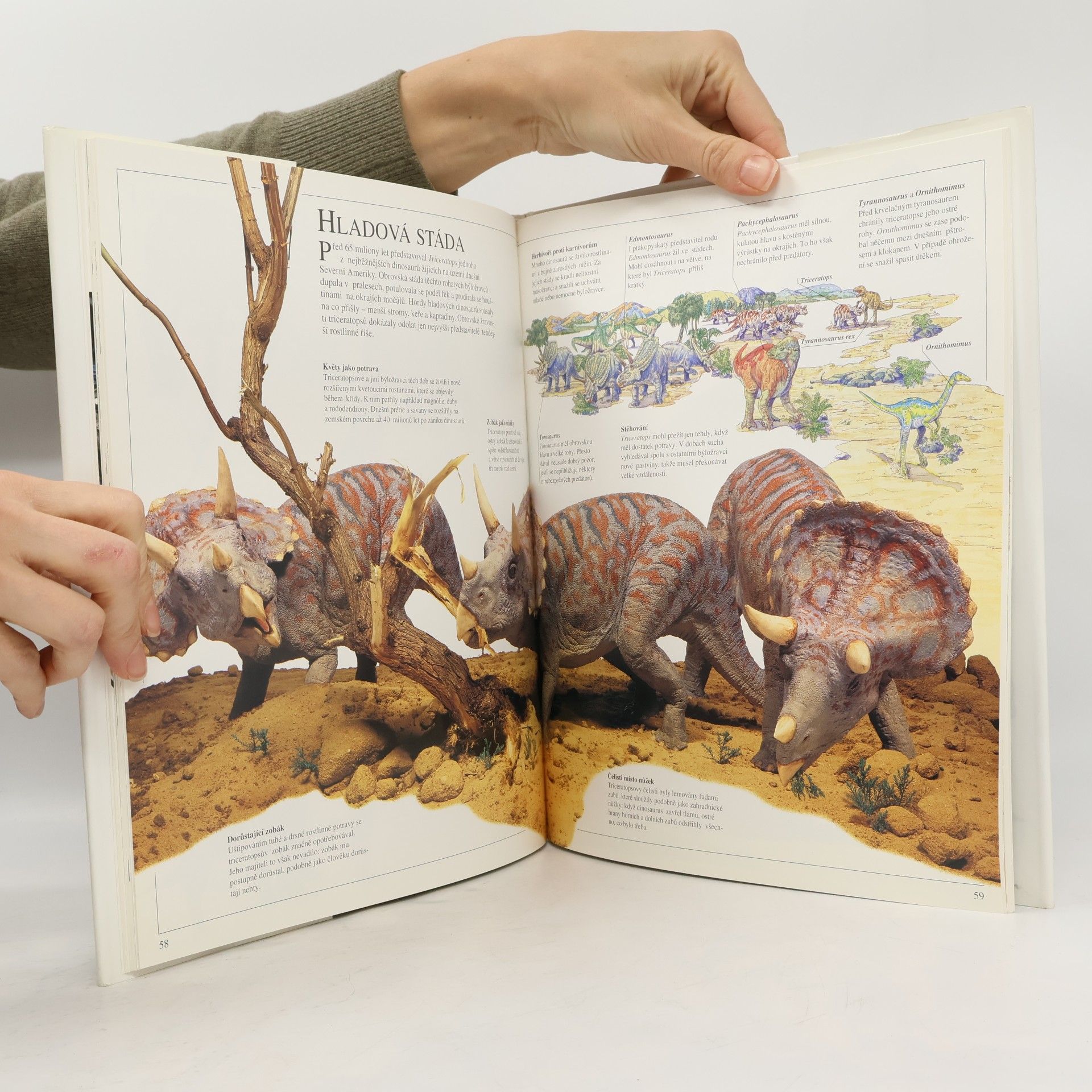 Milan Thurzo Obři pravěku : Barosaurus, Corythosaurus, Triceratops, Tyrannosaurus
