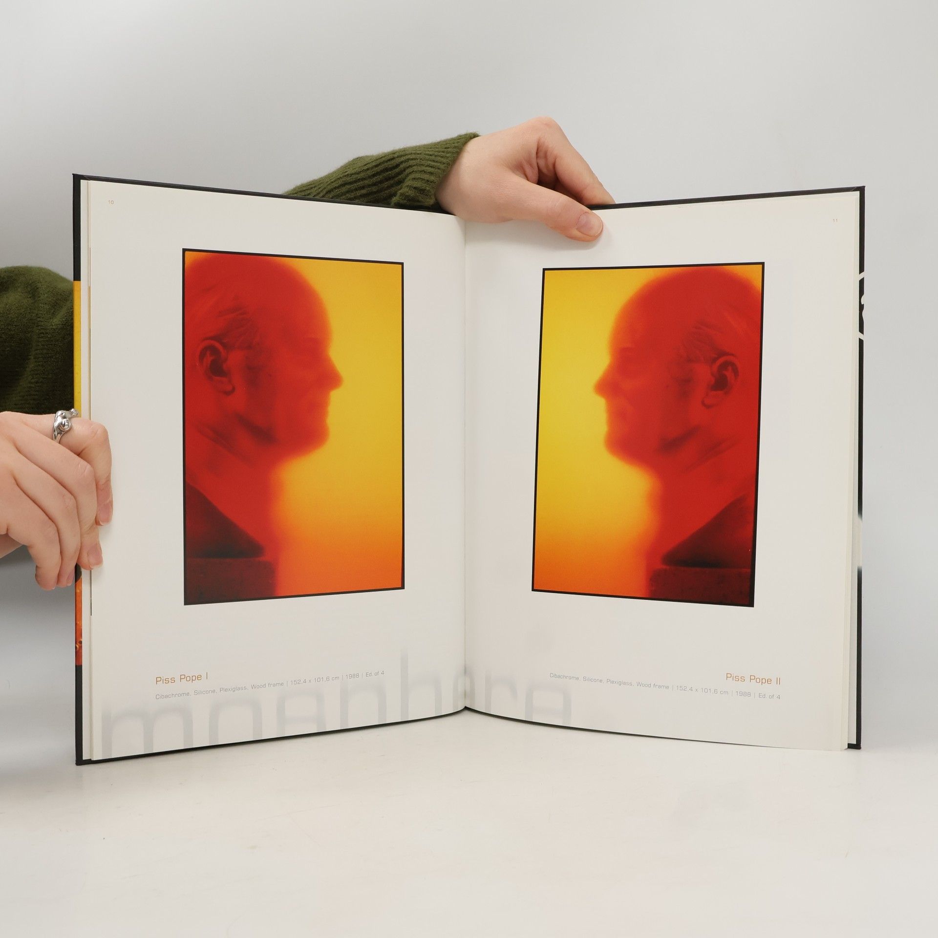 Andres Serrano The Normal in the Strange
