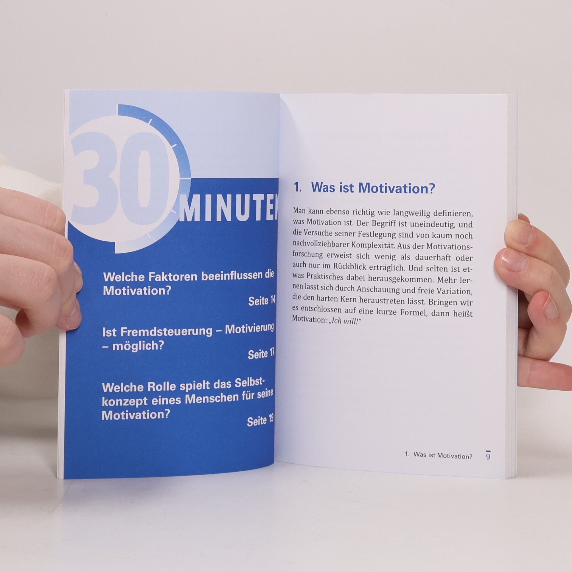 Reinhard Sprenger 30 Minuten Motivation