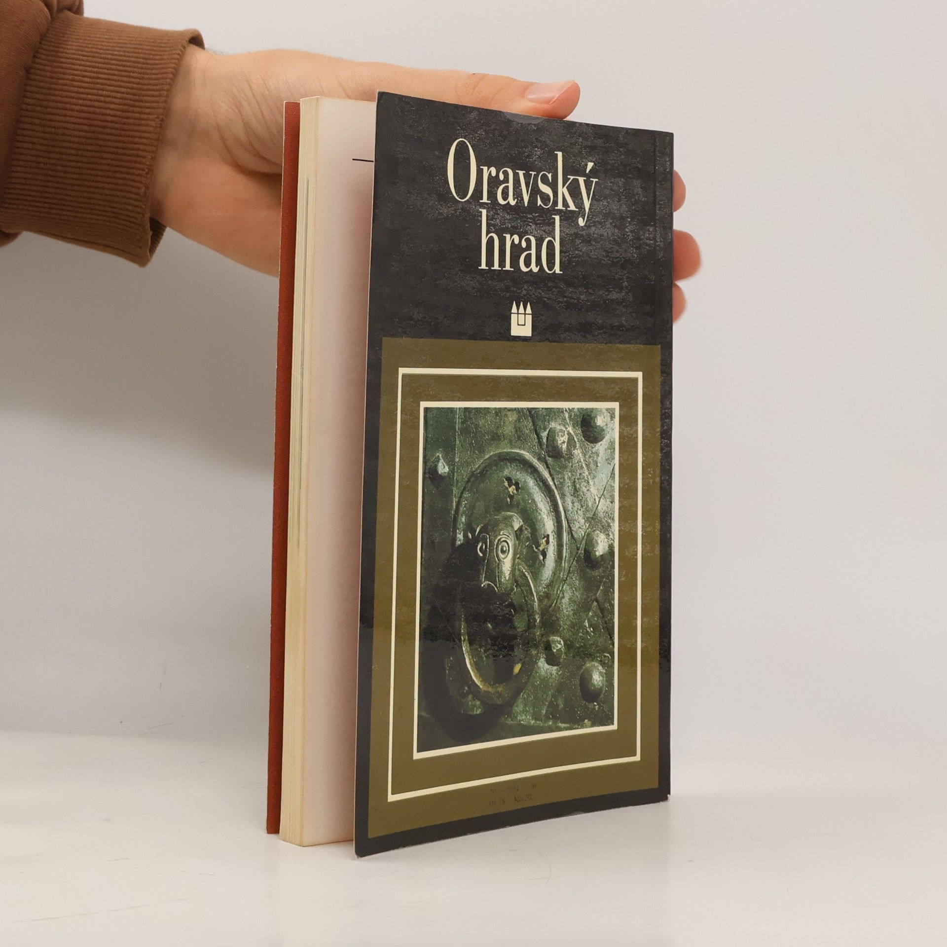 Dalibor Kusák Oravský hrad