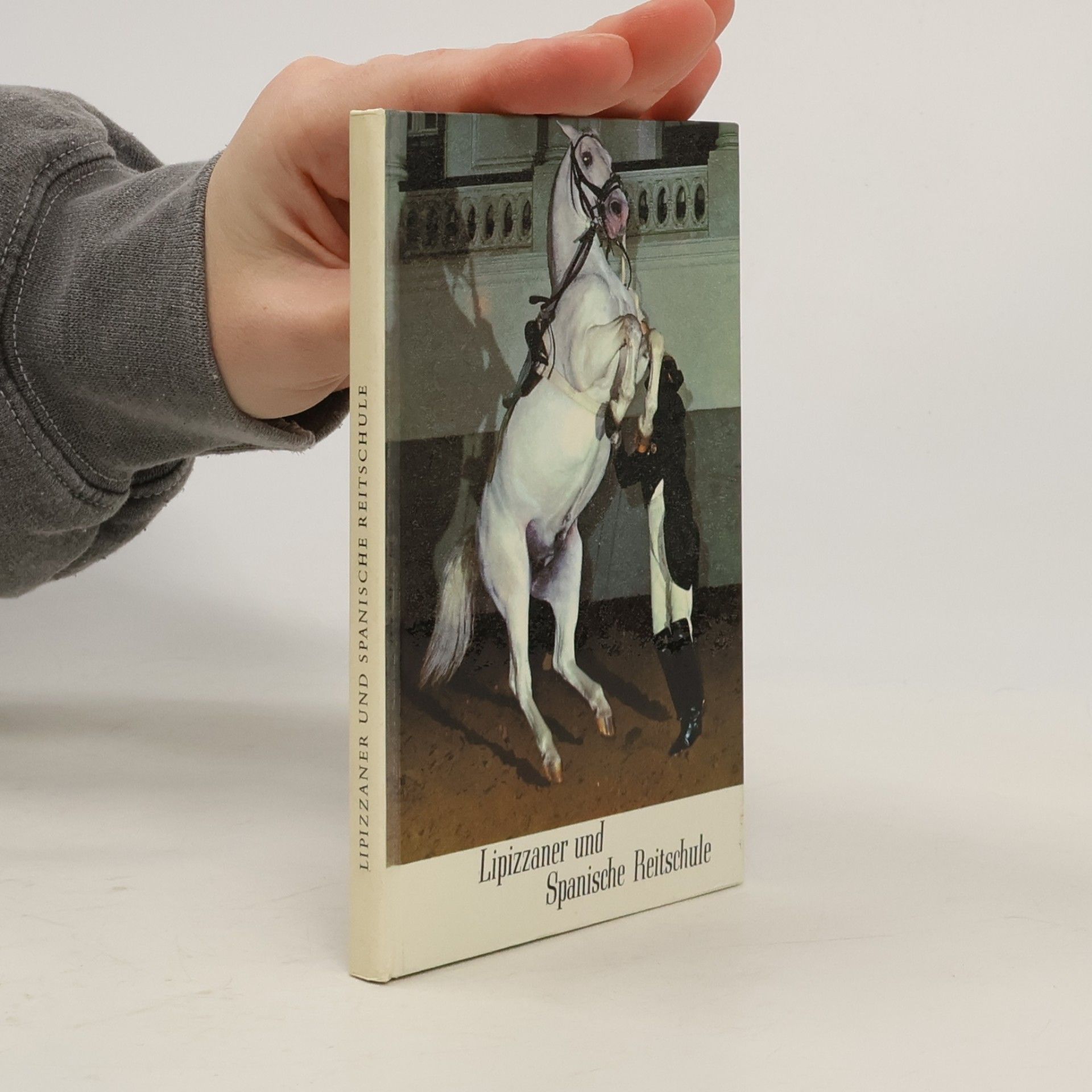Lipizzaner und Spanische Reitschule