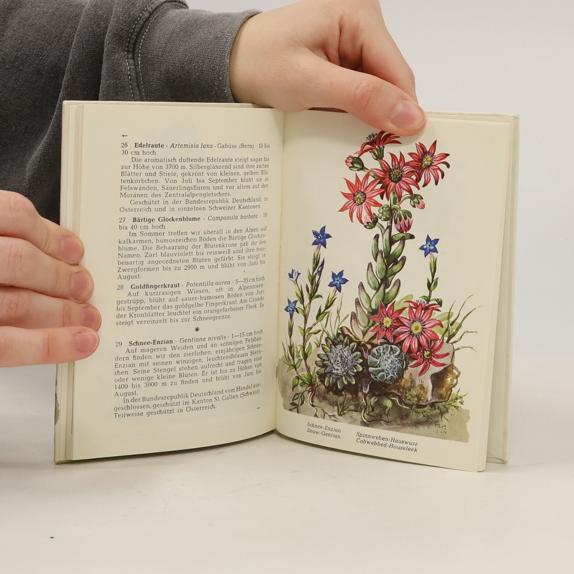 Karl Heinrich Waggerl Die schönsten Alpenblumen