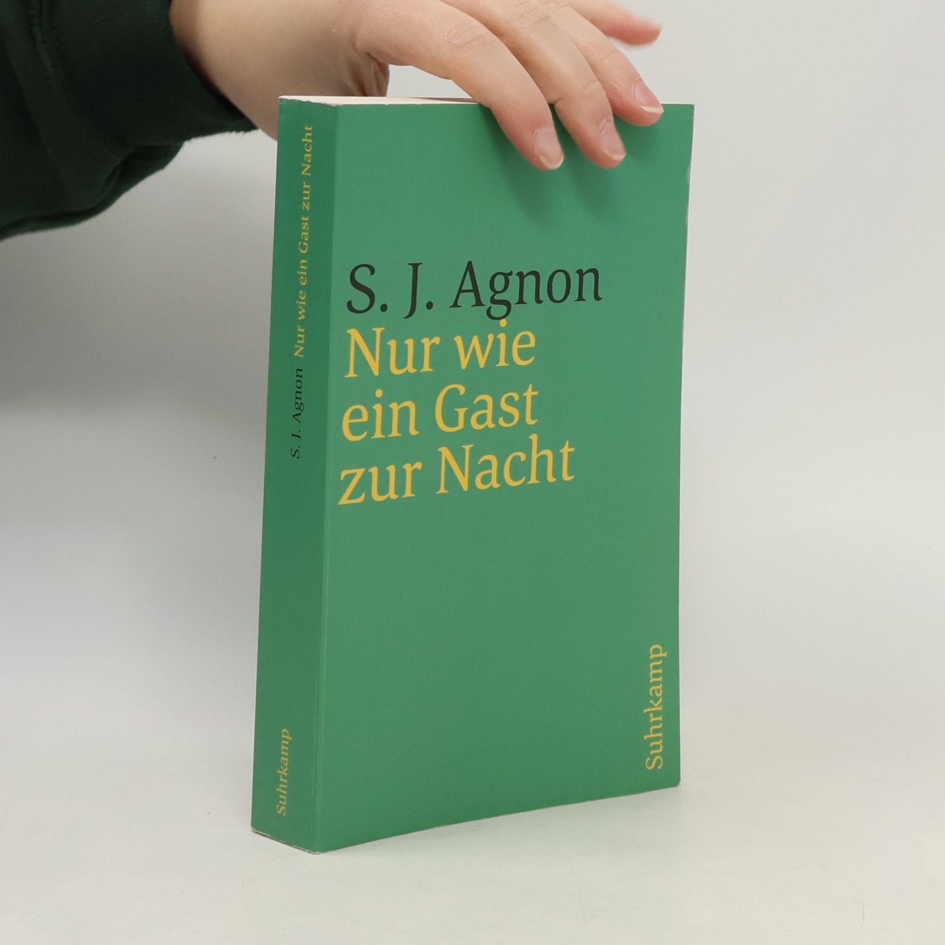 Nur wie ein Gast zur Nacht