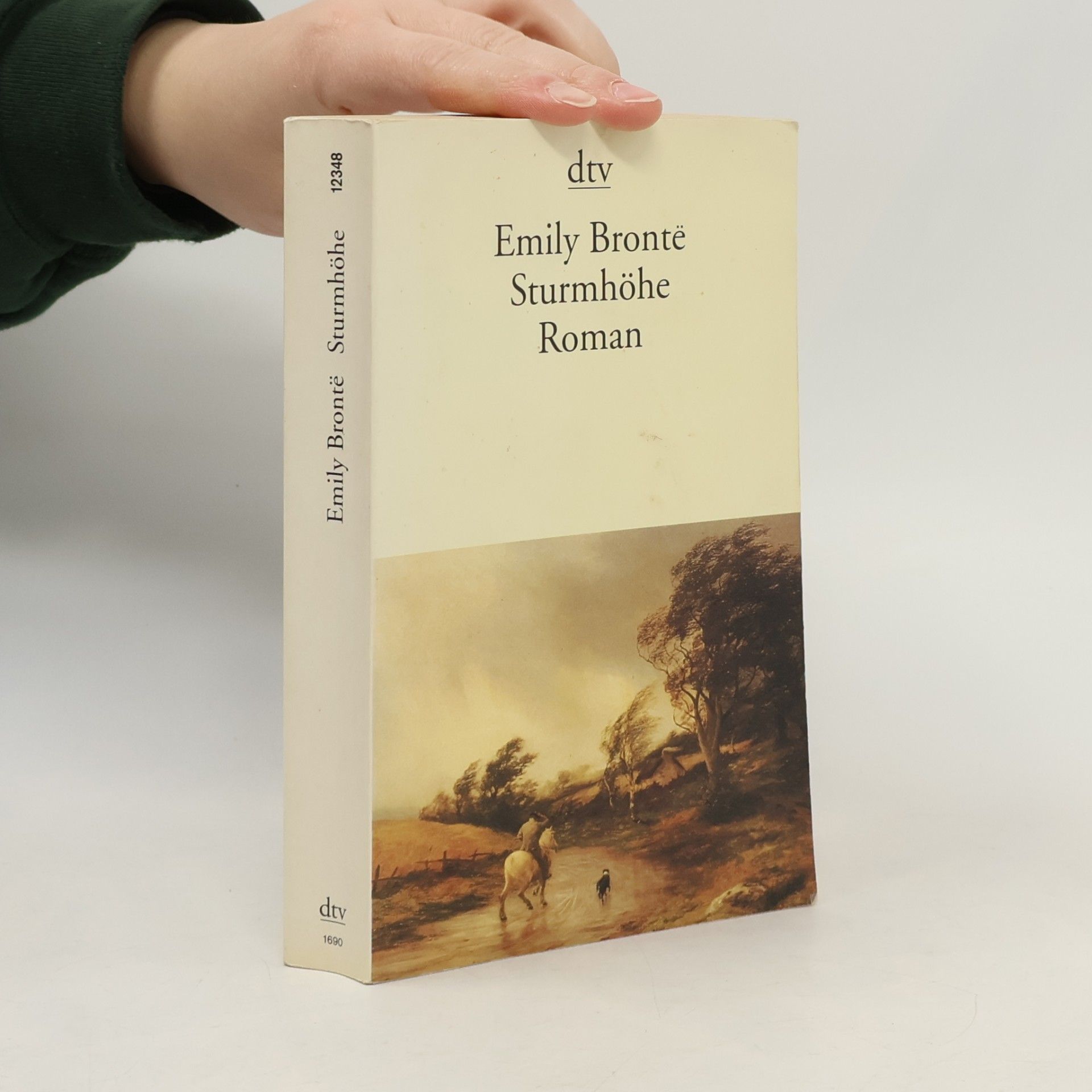 Emily Brontë Sturmhöhe