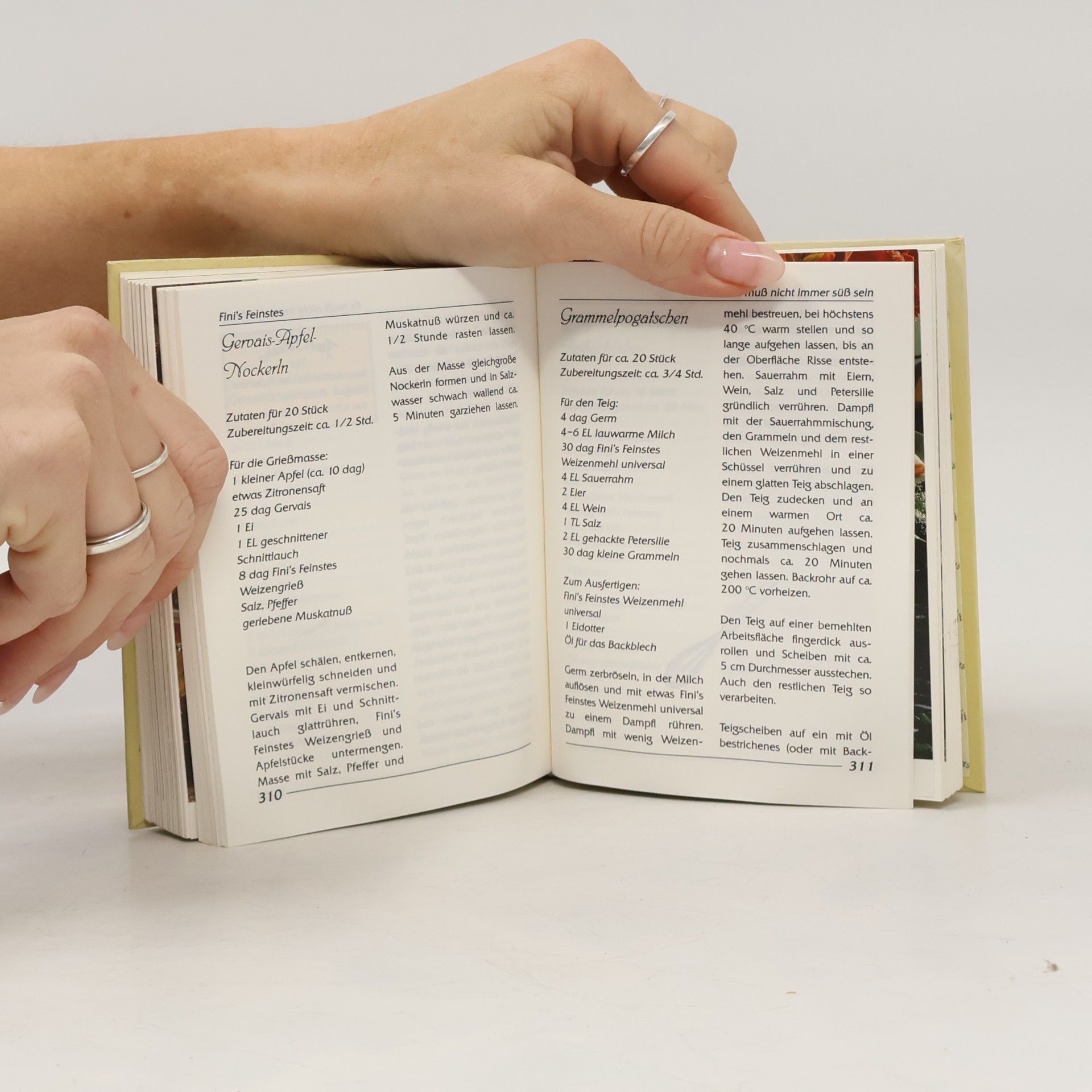 Christoph Wagner Fini's feinstes Mehl-Speisenbuch