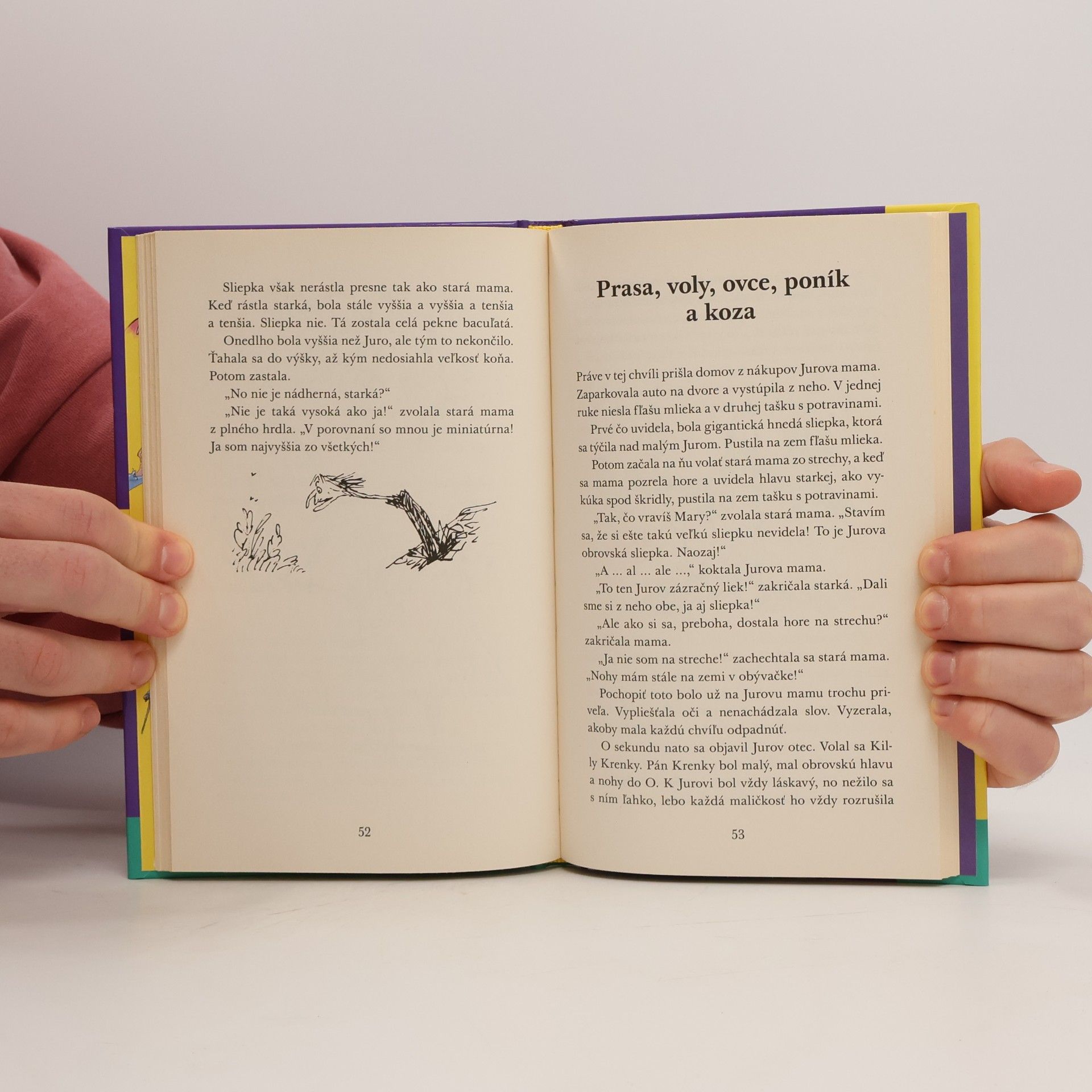 Roald Dahl Jurov zázračný liek