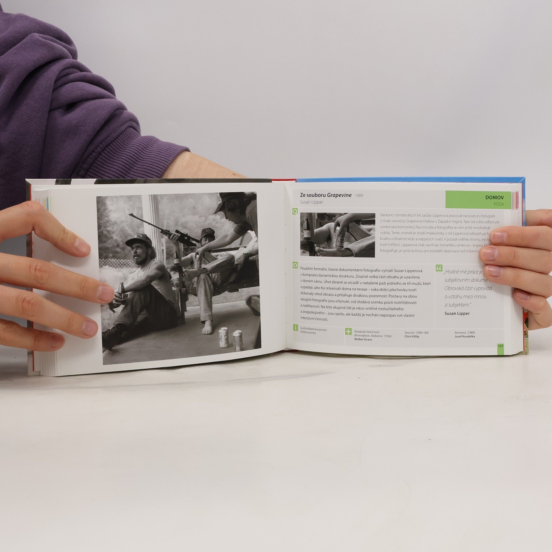 Val Williams Jak na skvělé fotografie : 80 mistrovských děl pod drobnohledem