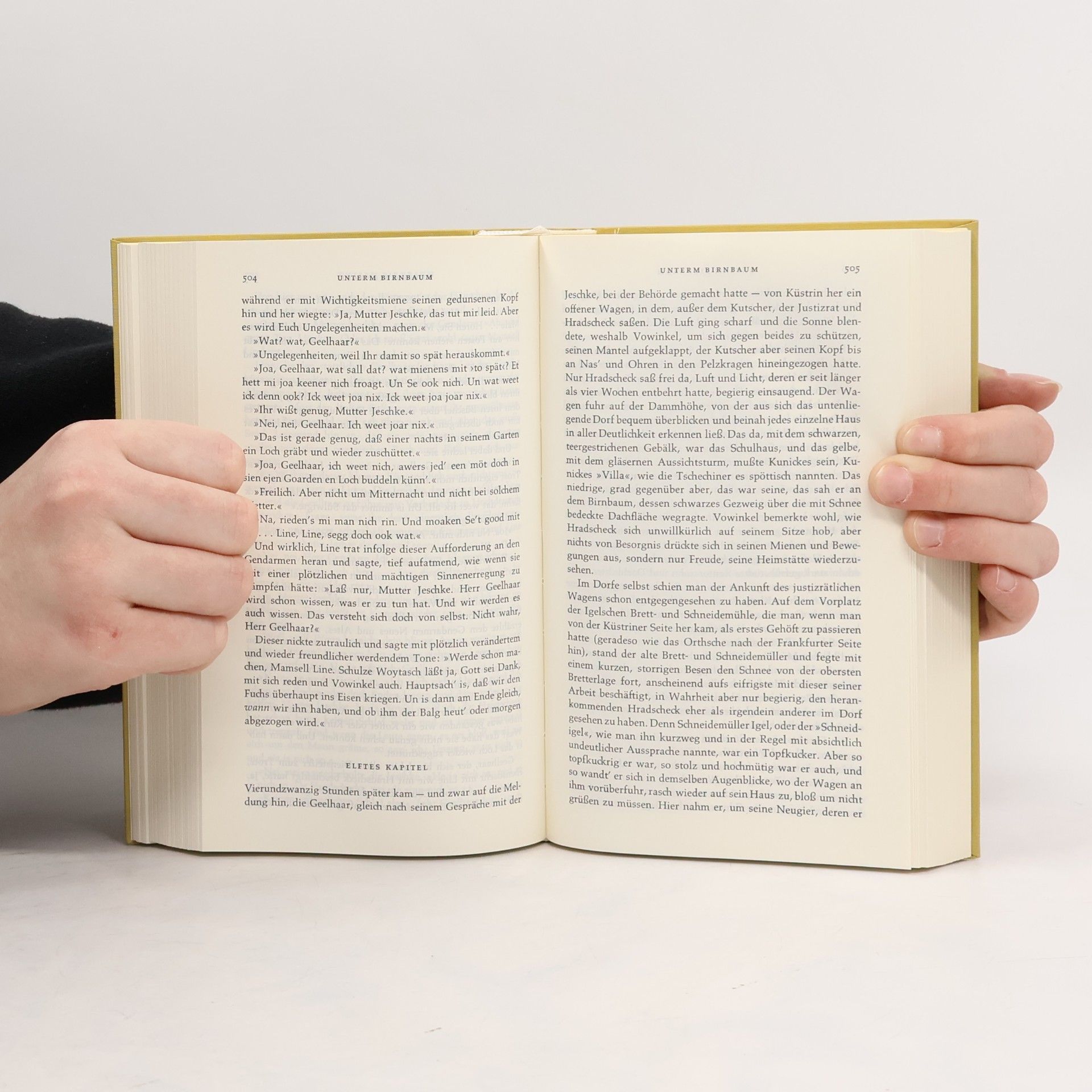 Theodor Fontane Werke, Schriften und Briefe 1