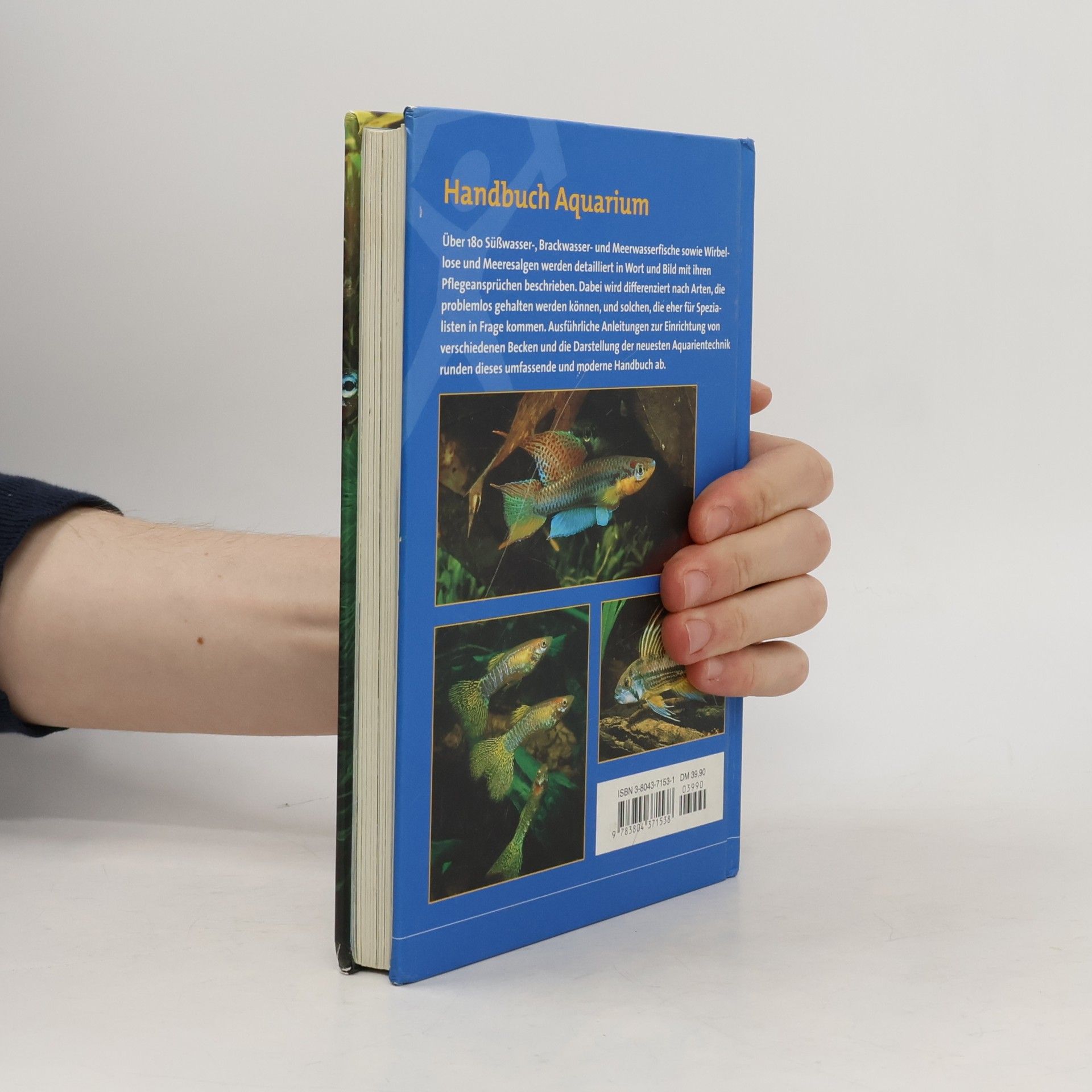 Gina Sandford Handbuch Aquarium